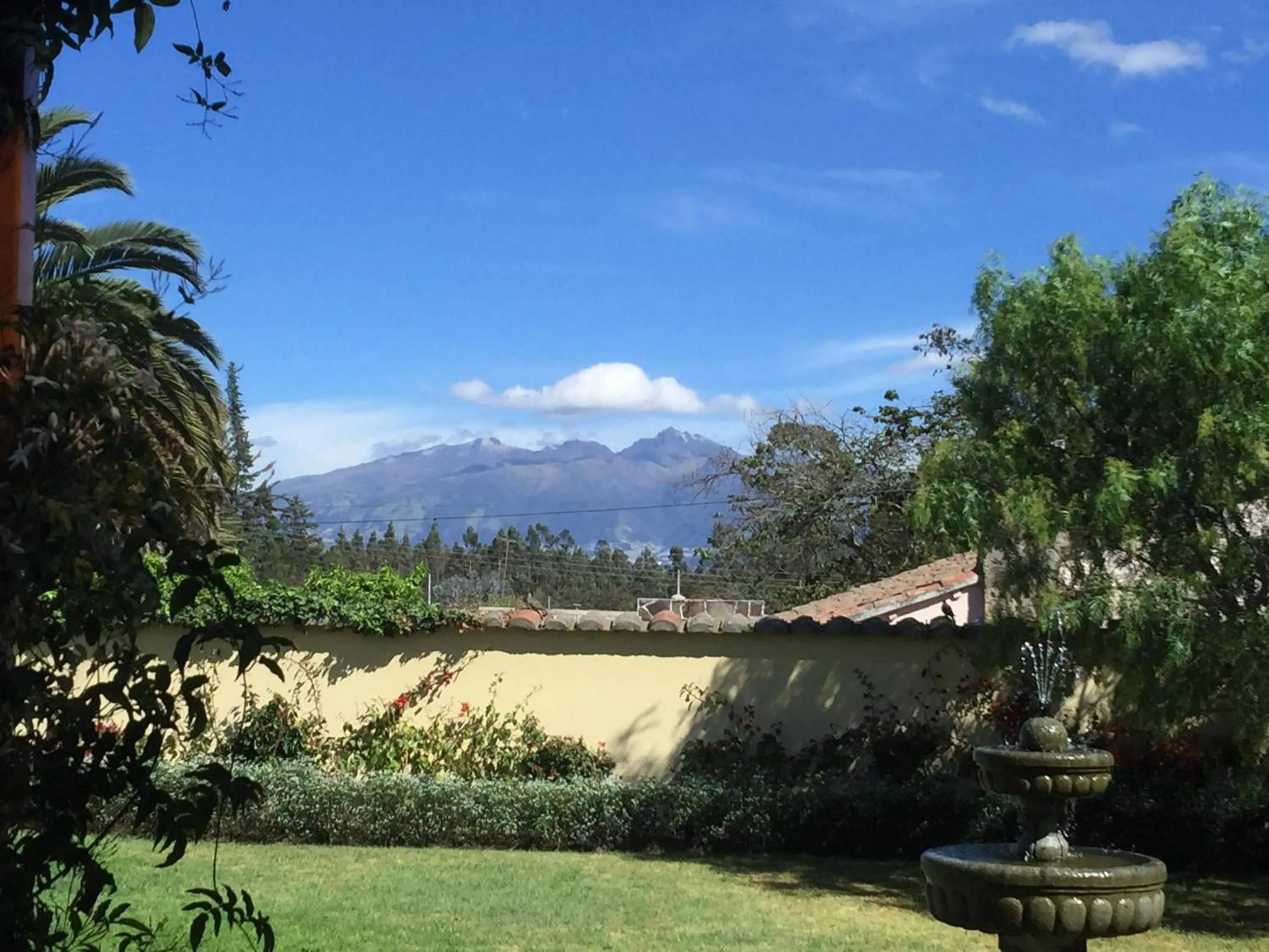Garden in Casa del Viajero