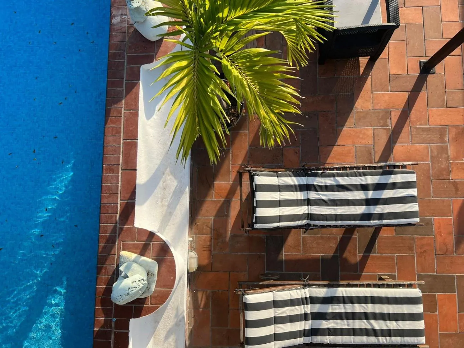 Patio in Villa Condesa Del Mar