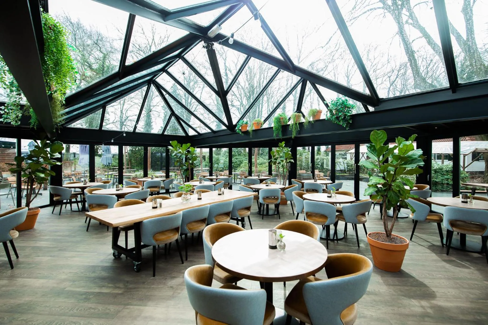 Restaurant/places to eat in Veluwe Hotel De Beyaerd
