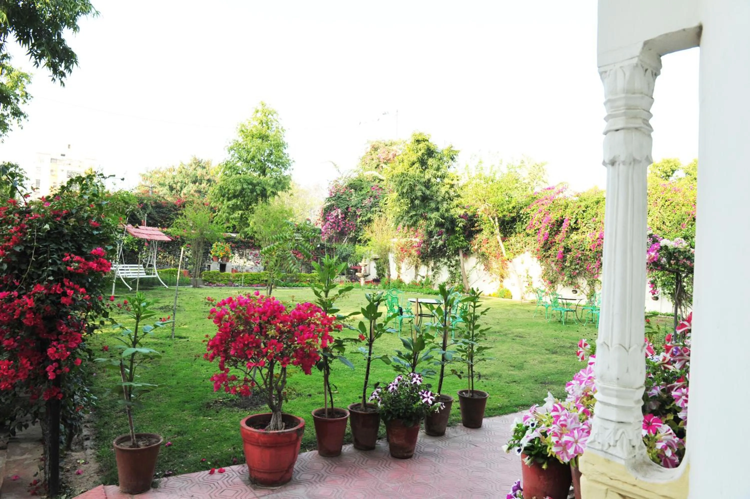 Garden in Hotel Meghniwas