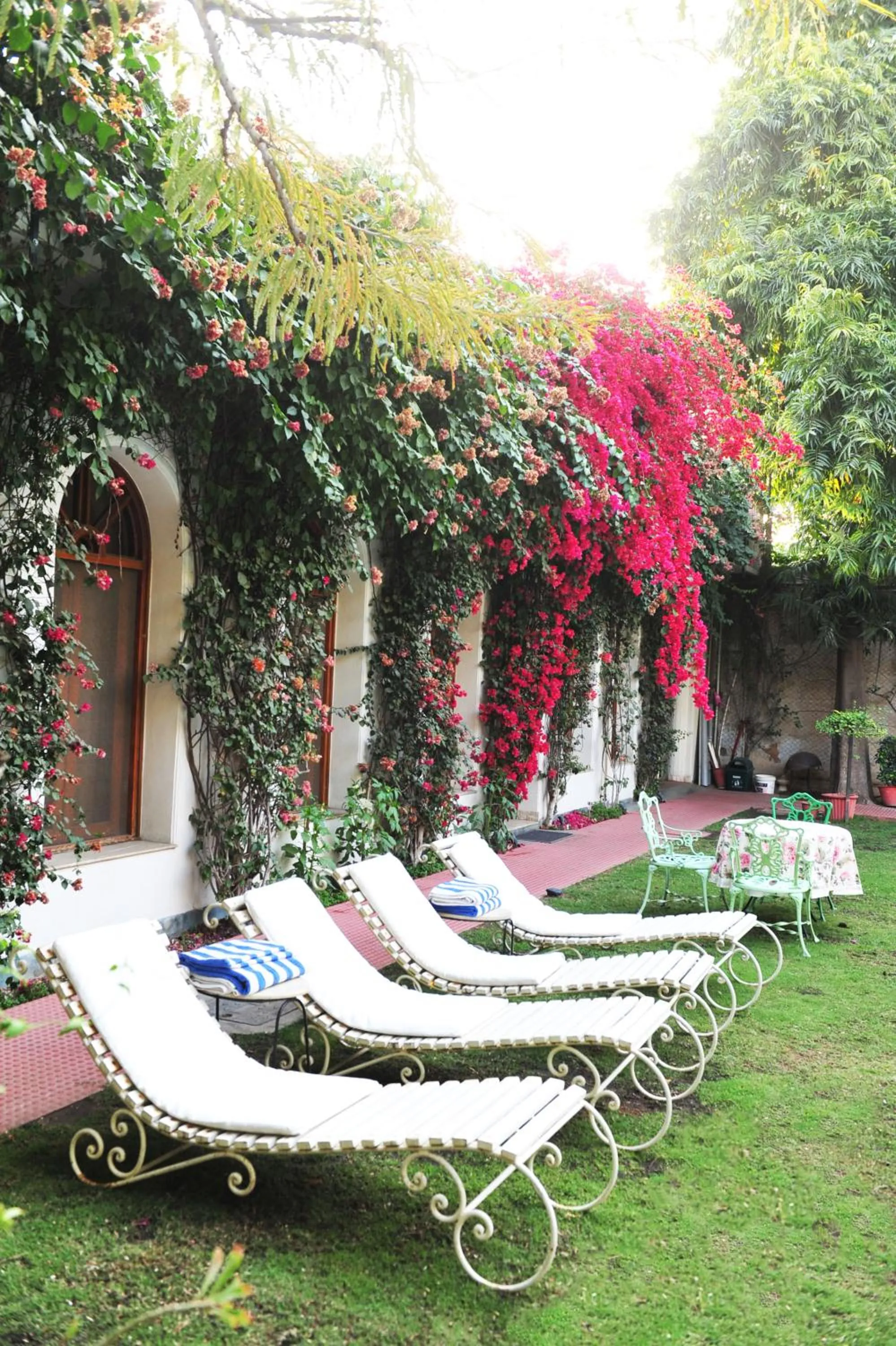 Garden in Hotel Meghniwas
