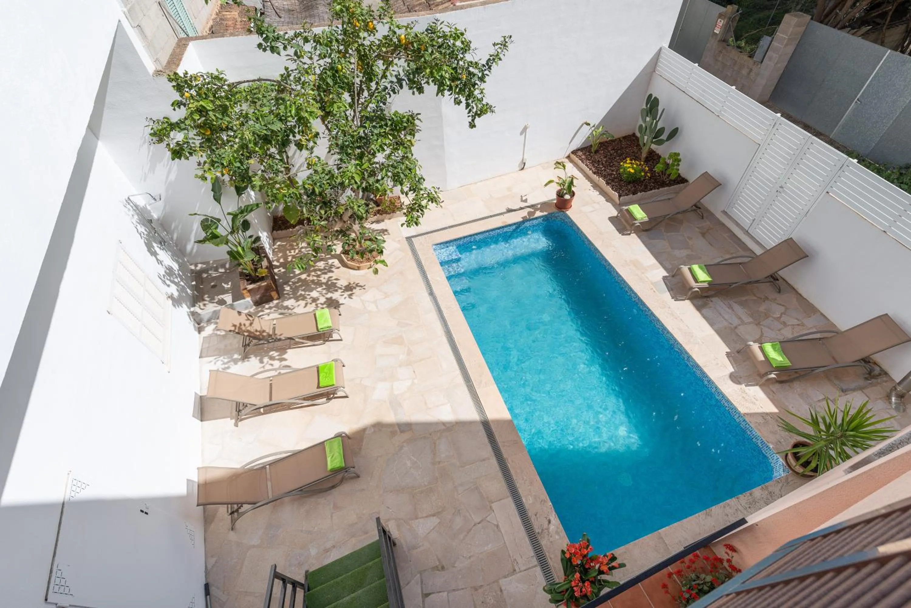 Swimming pool in Can Joan -Maria-