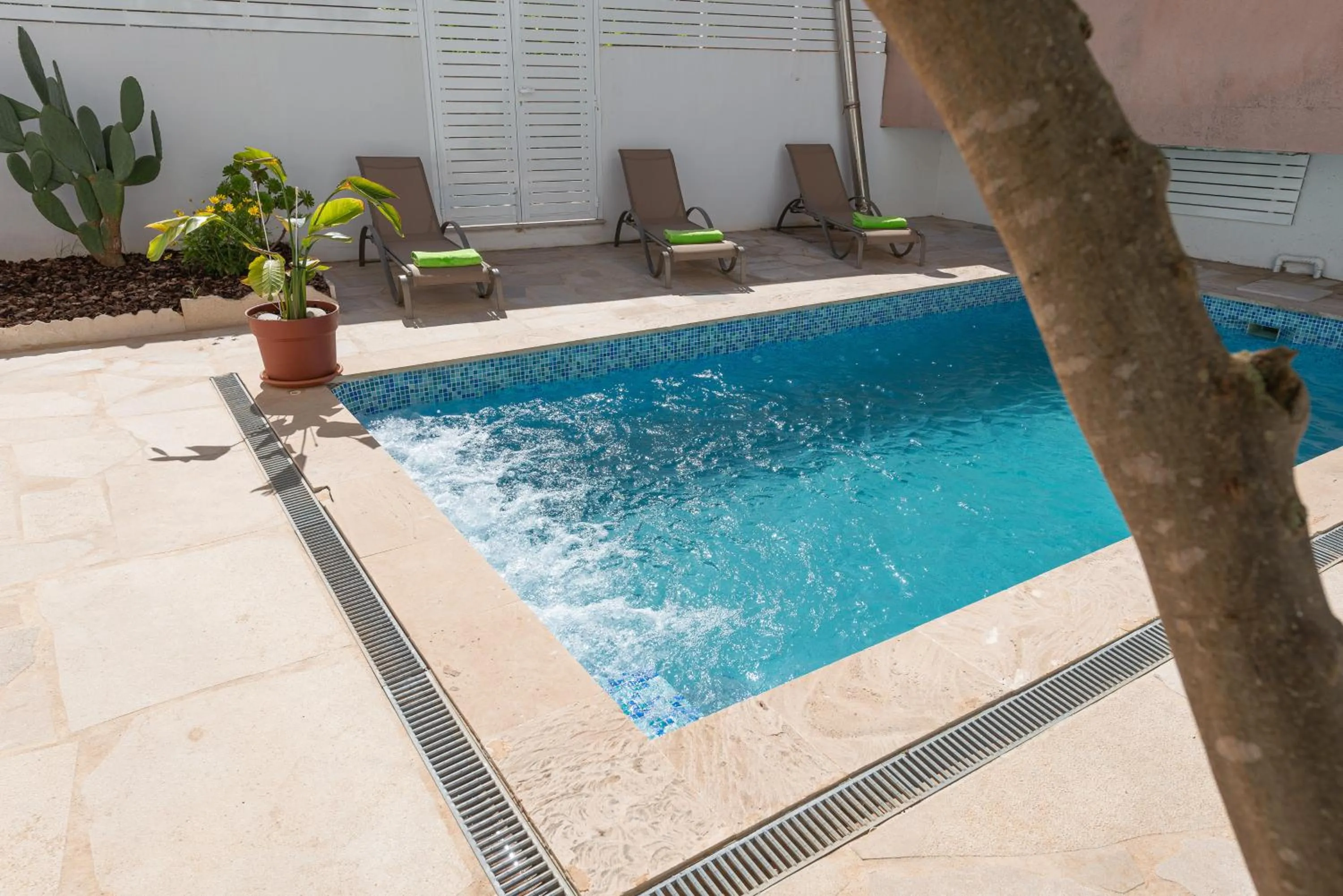 Swimming pool in Can Joan -Maria-