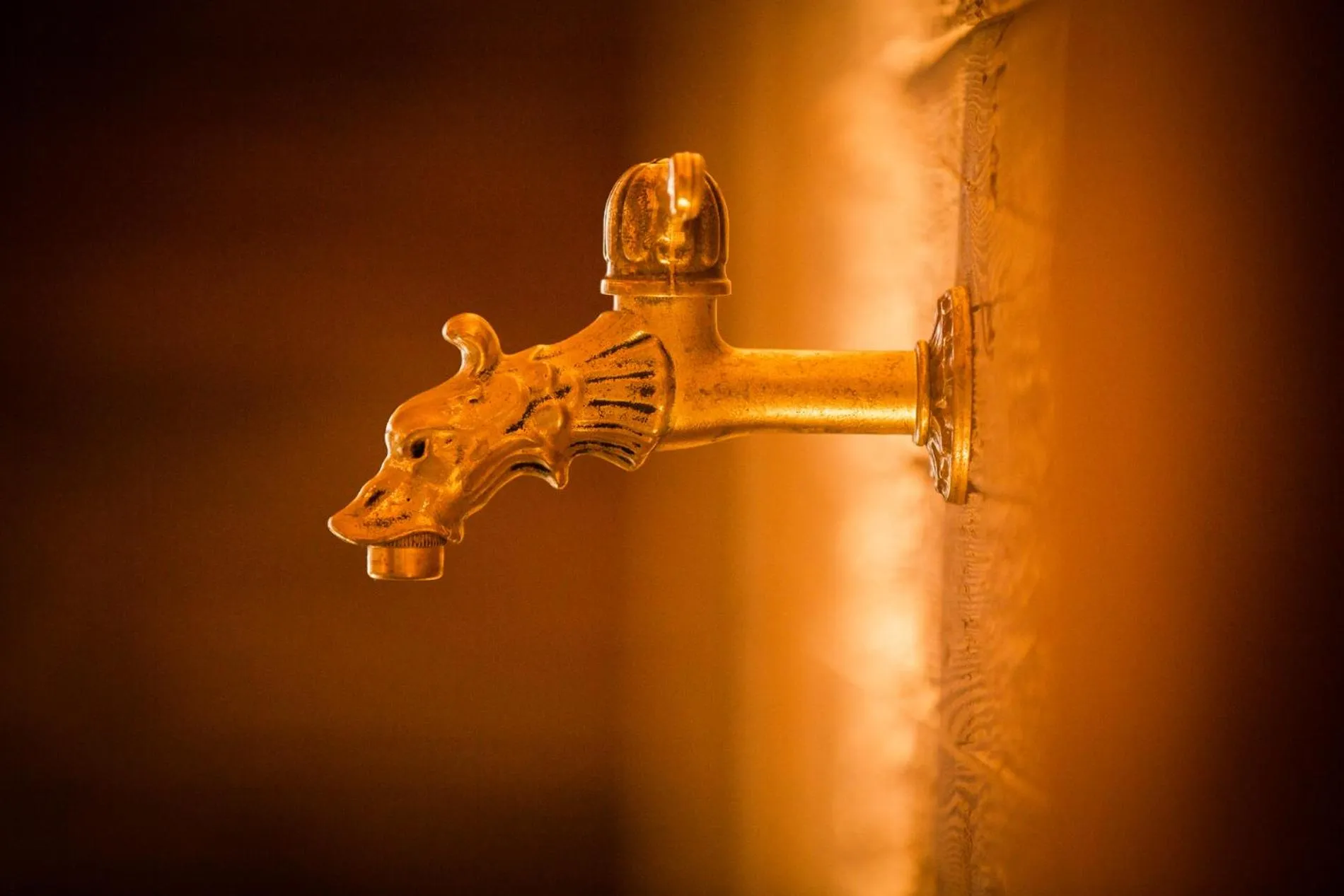 Activities in Hotel Madrisajoch