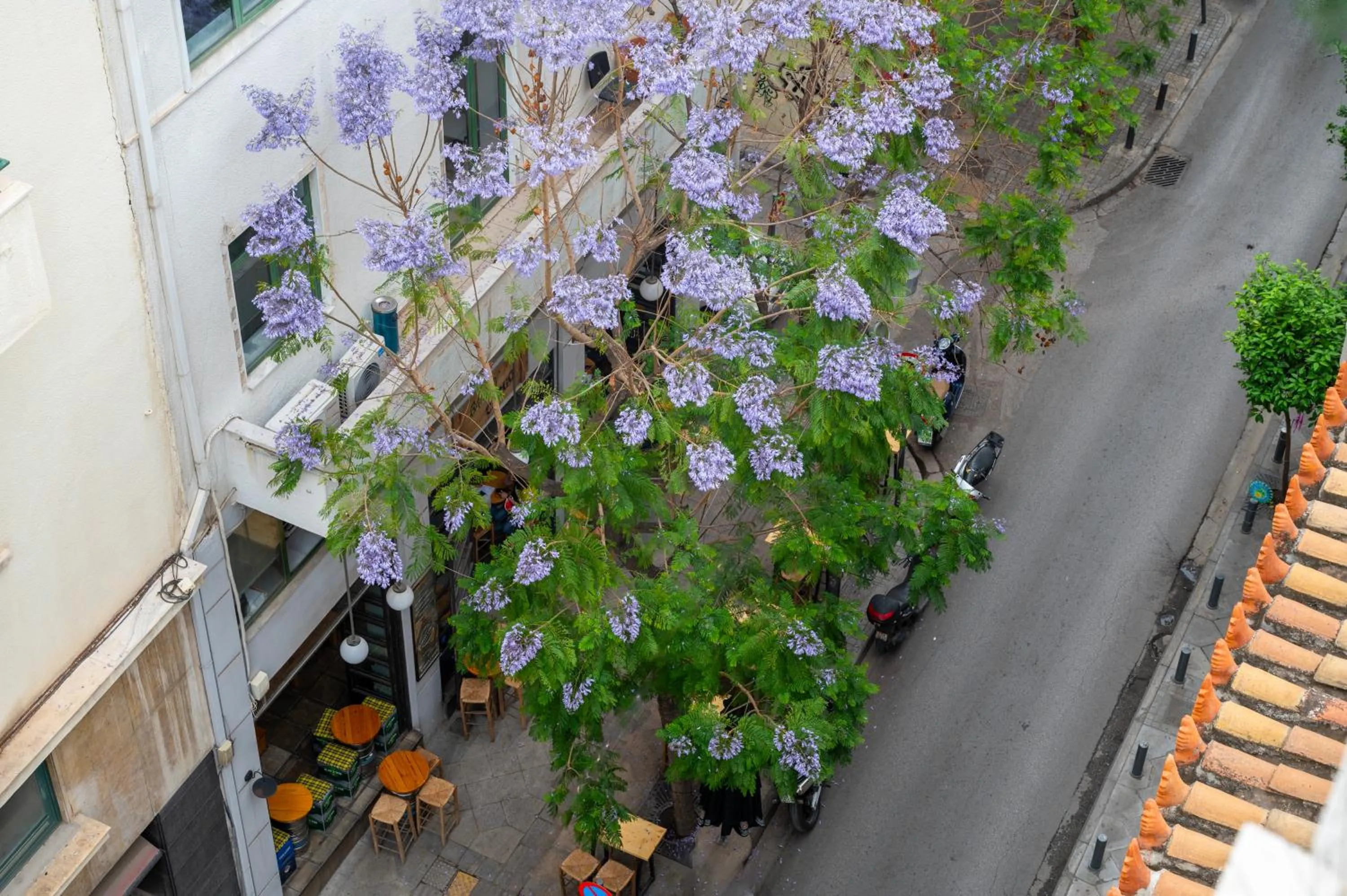 View (from property/room) in Hestia - Kolokotroni 23