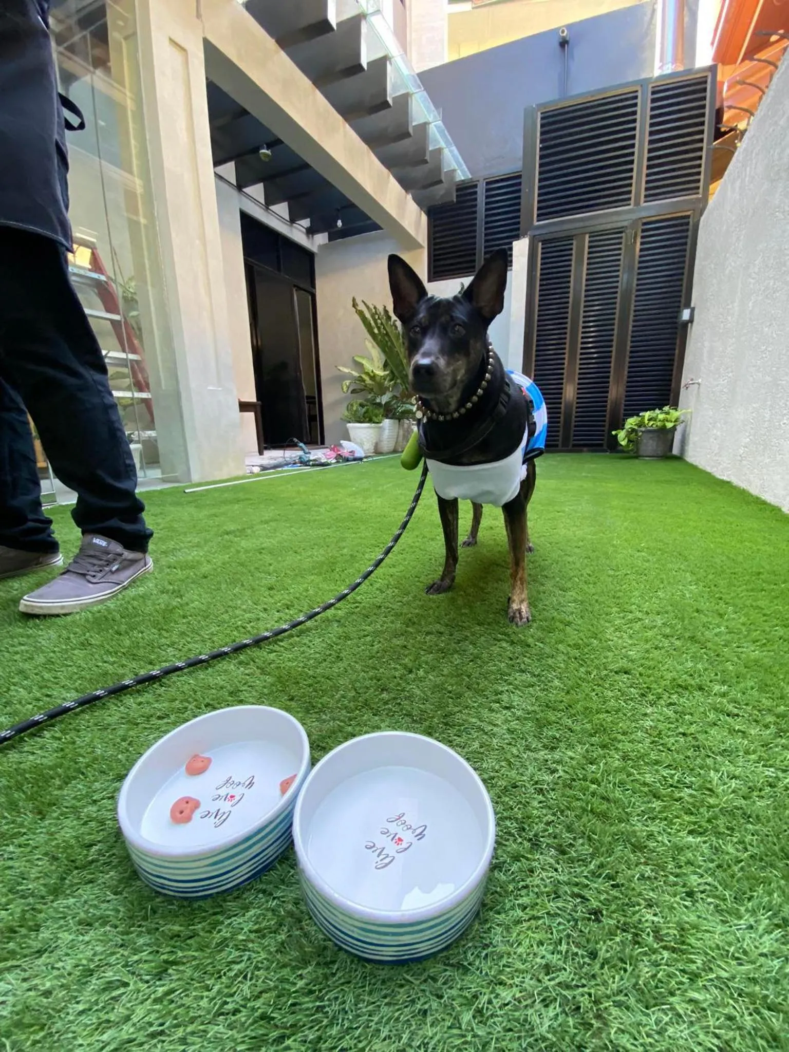 Garden in Kasa Boutique Hotel