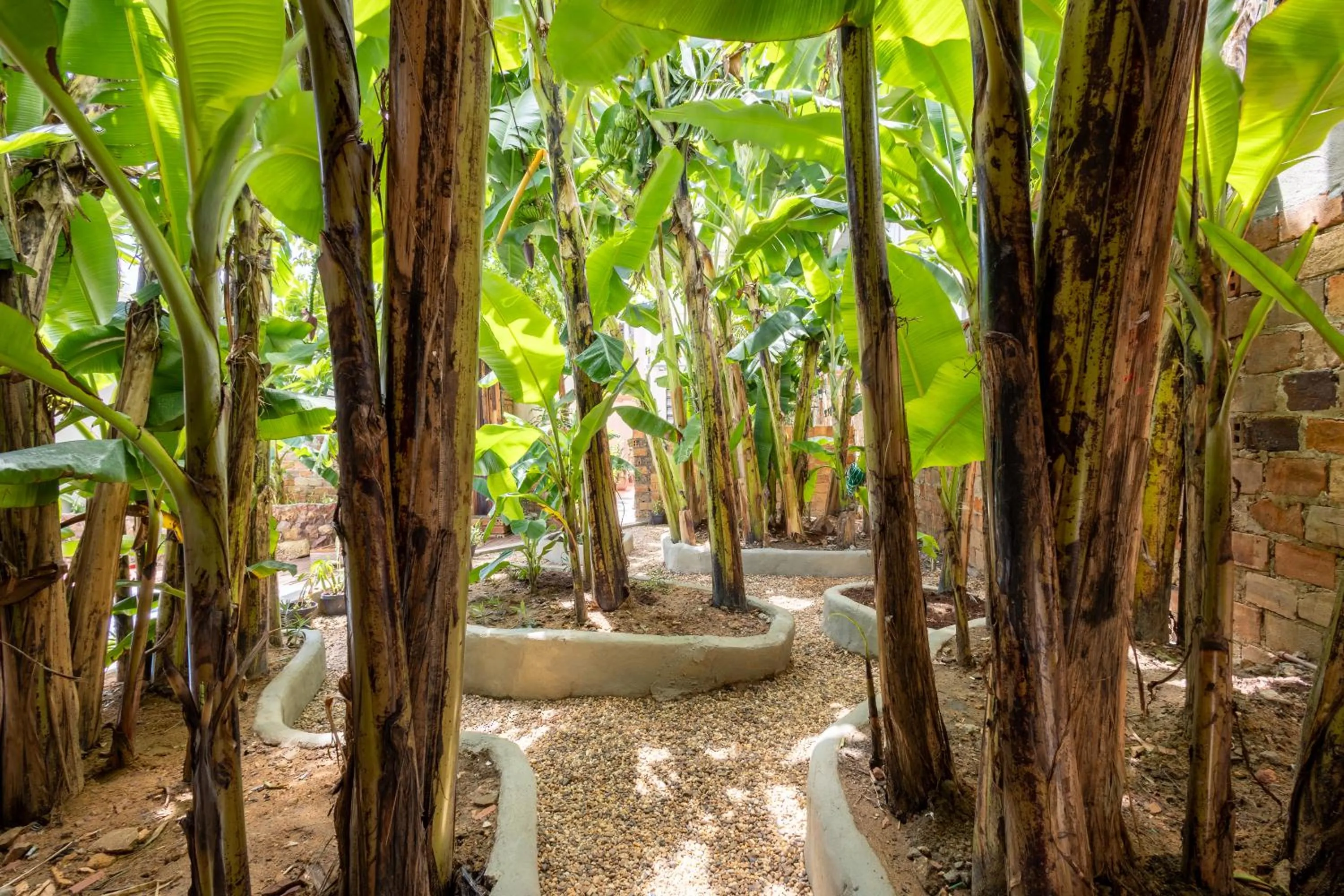 Property building in Hotel Casa do Bispo