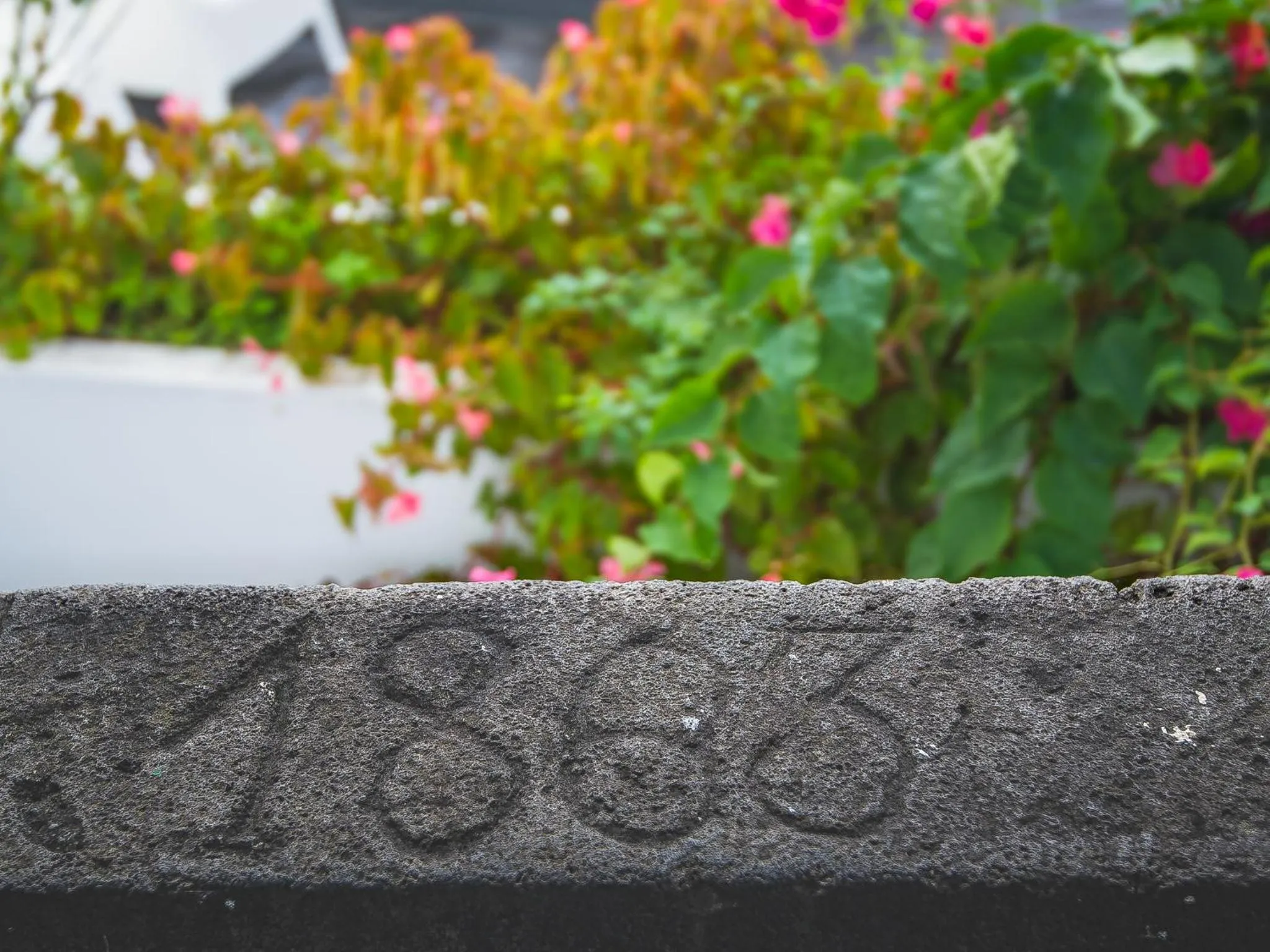 Property logo or sign in Comercial Boutique Guest House