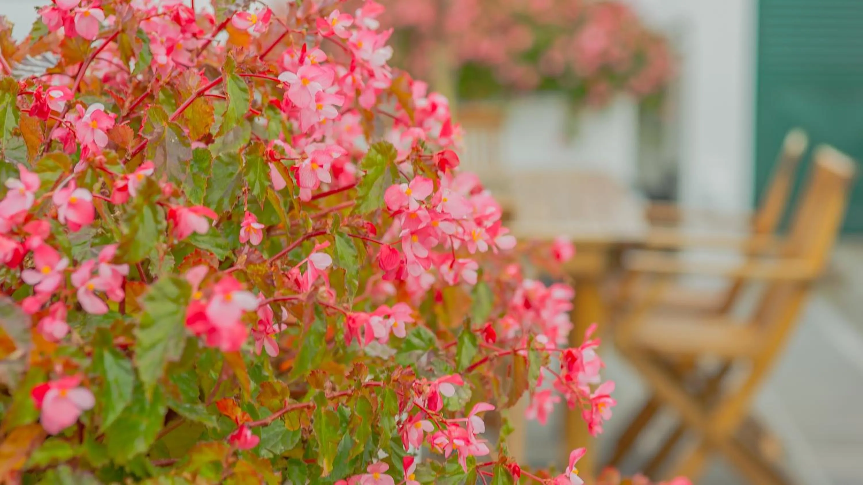 Property building in Comercial Boutique Guest House