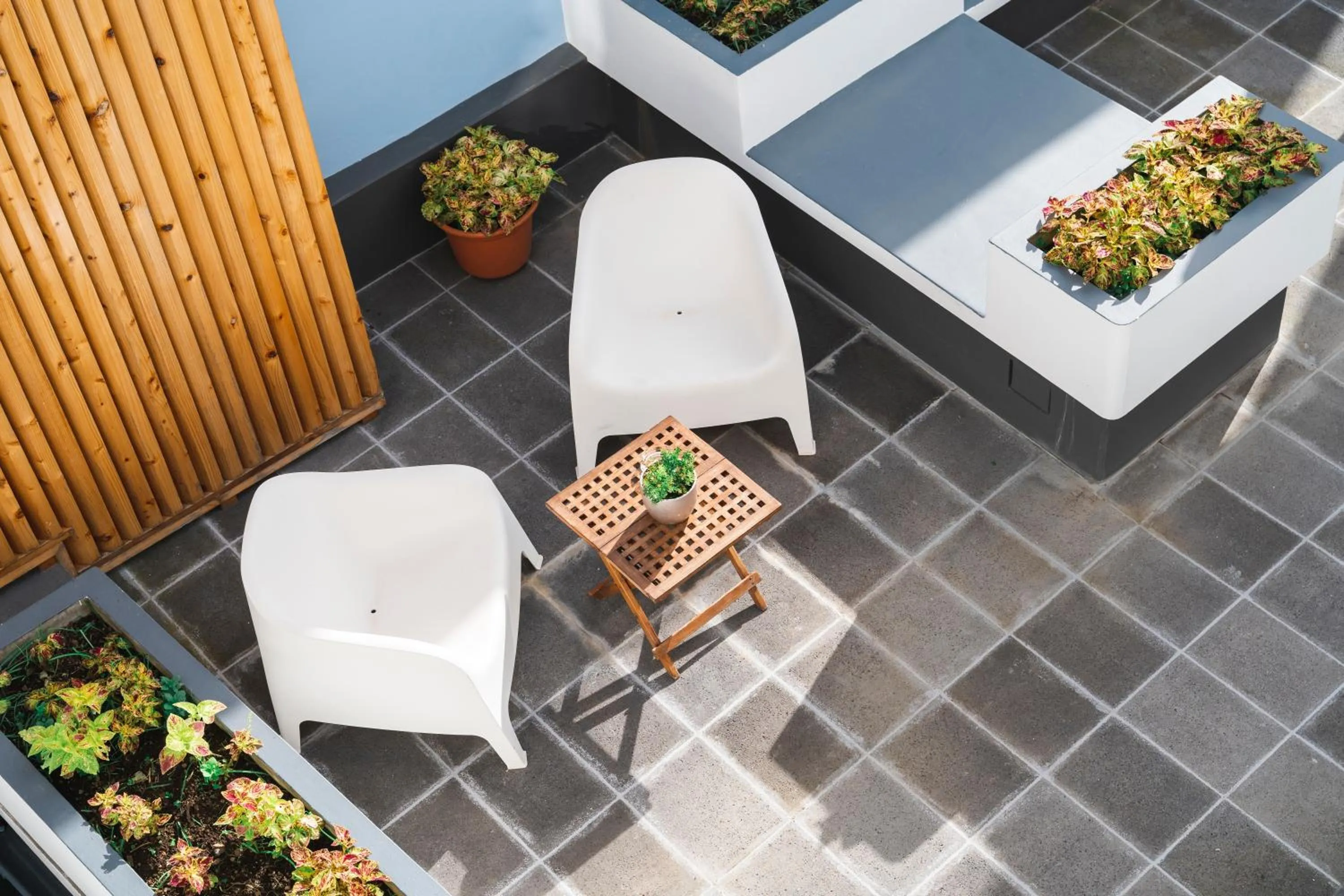 Patio in Comercial Boutique Guest House