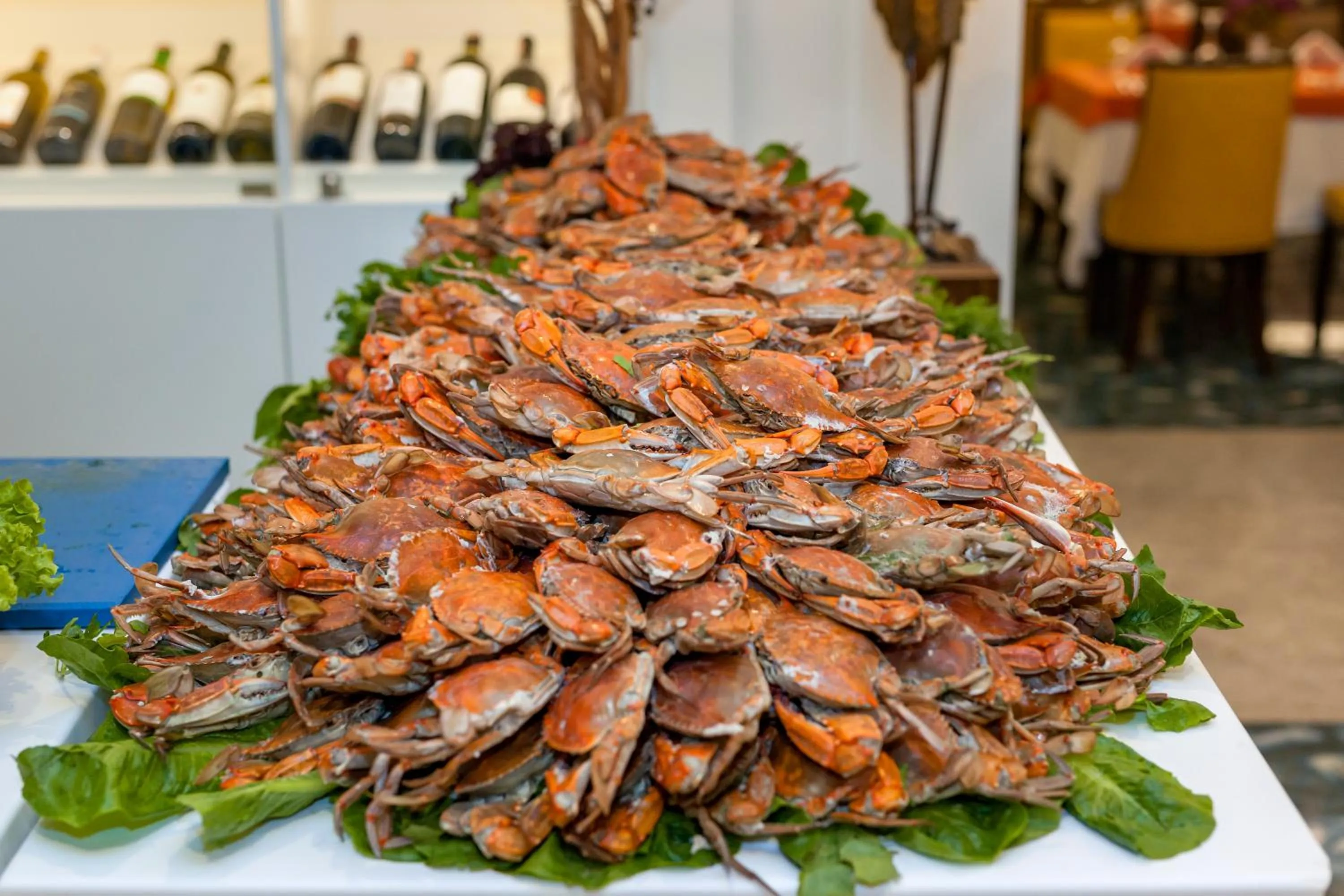 Food and drinks in Royal Taj Mahal Hotel