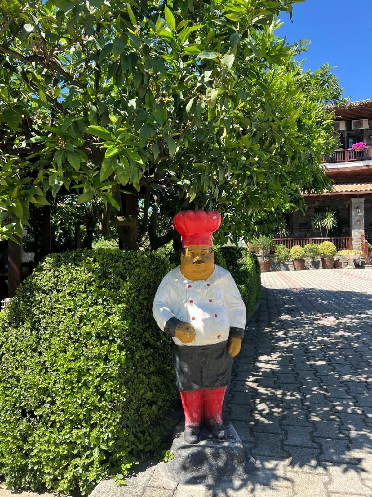 Garden in Hotel Kaceli