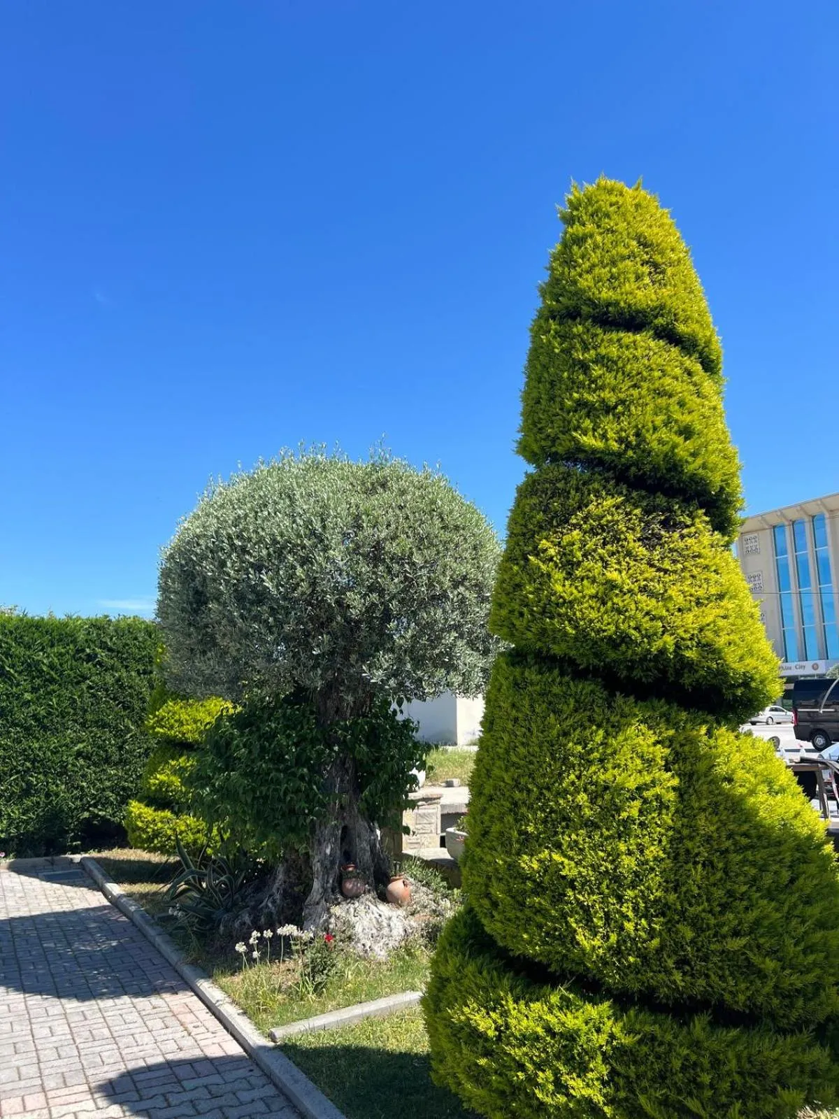 Garden in Hotel Kaceli