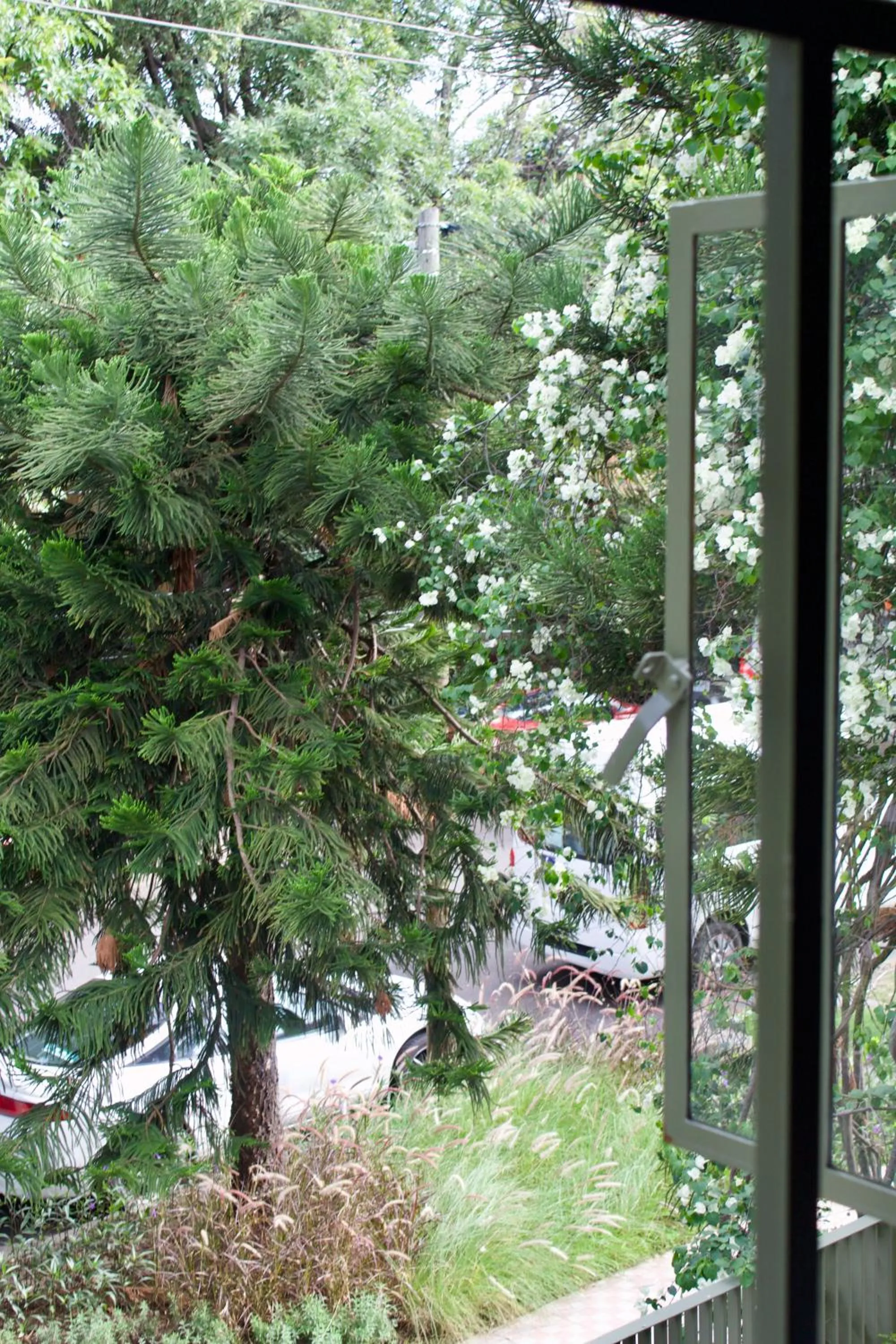 Spring in Casa España