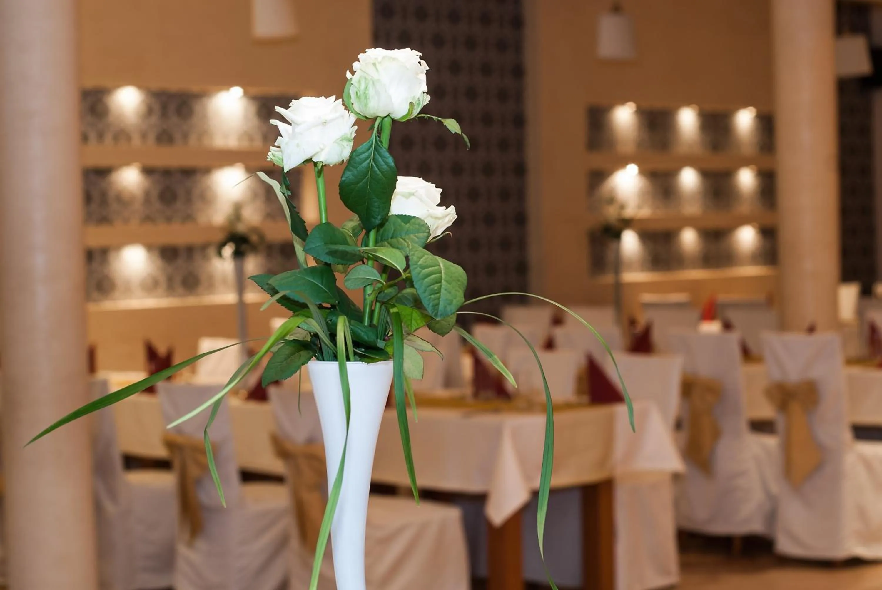 Banquet/Function facilities in Hotel Marand