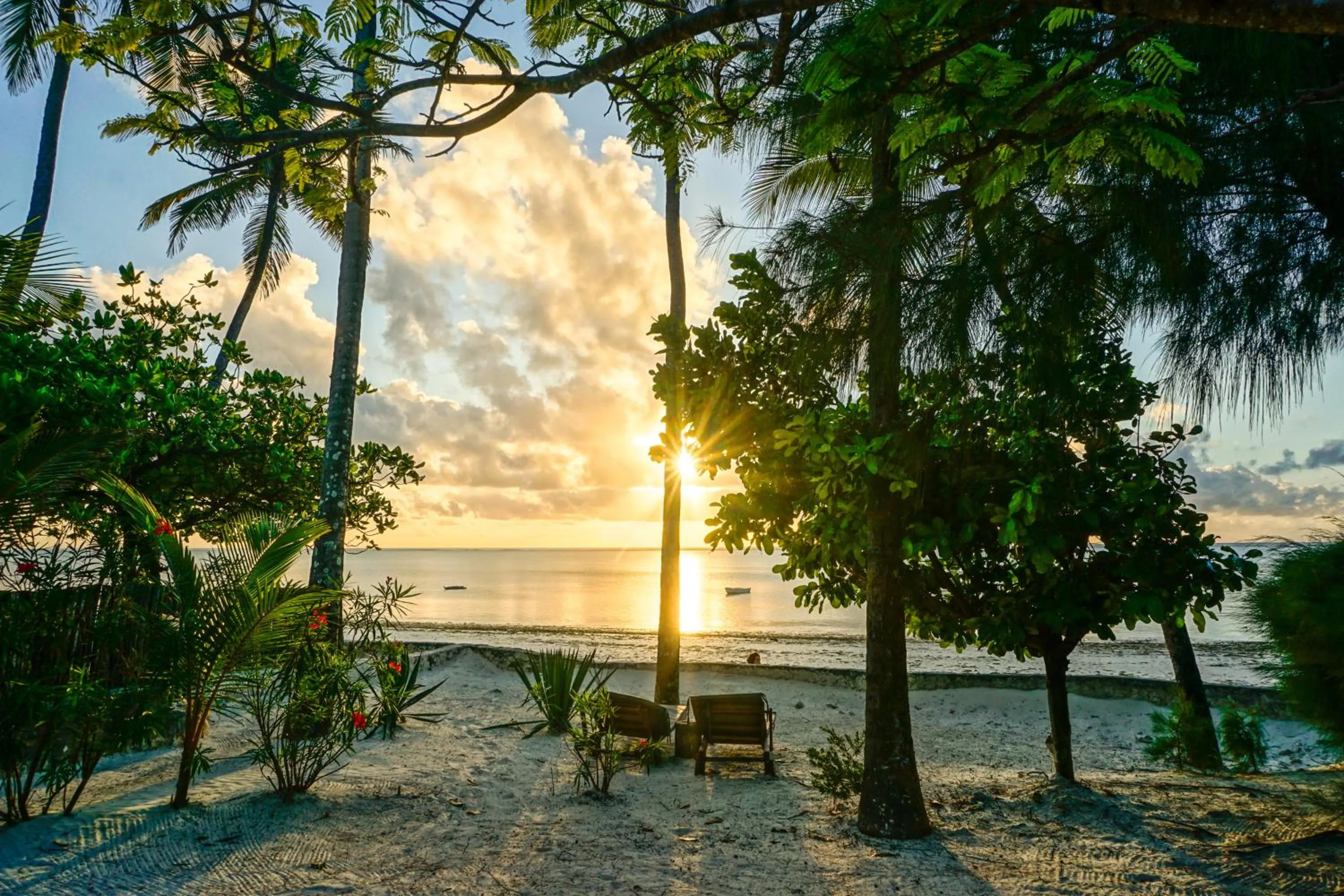Natural landscape in Indigo Beach Zanzibar
