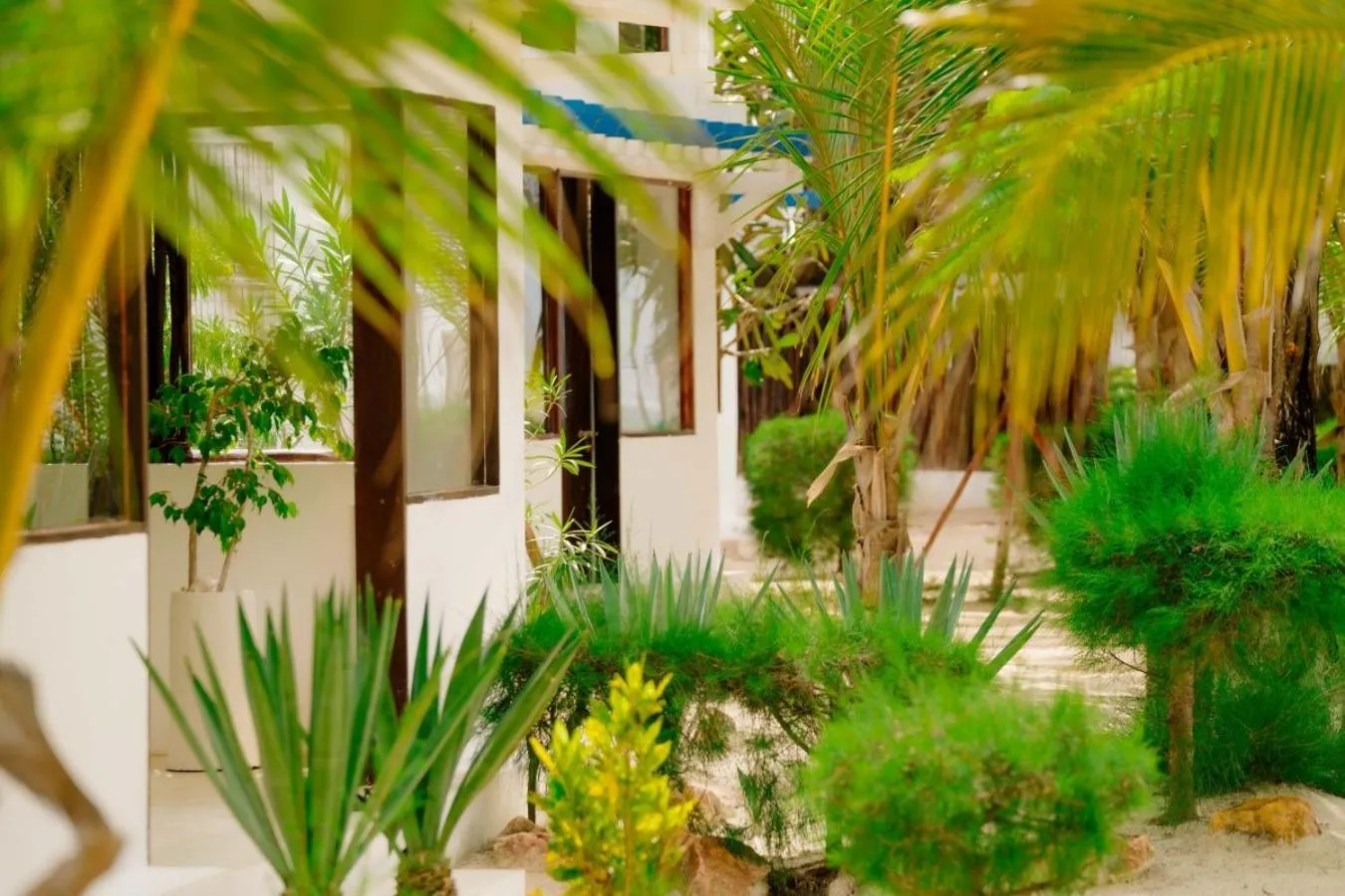 Indigo Beach Zanzibar