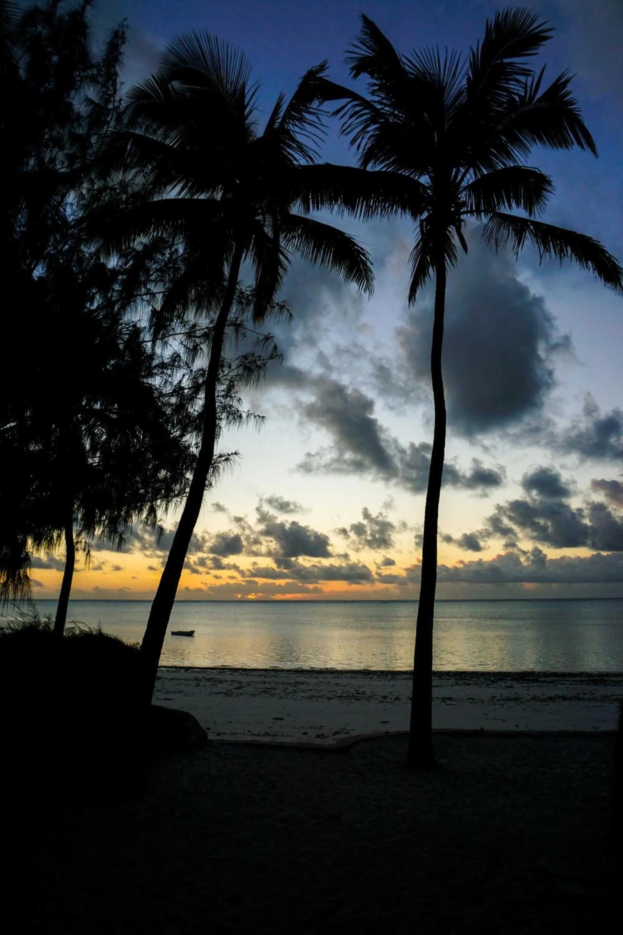 Natural landscape in Indigo Beach Zanzibar