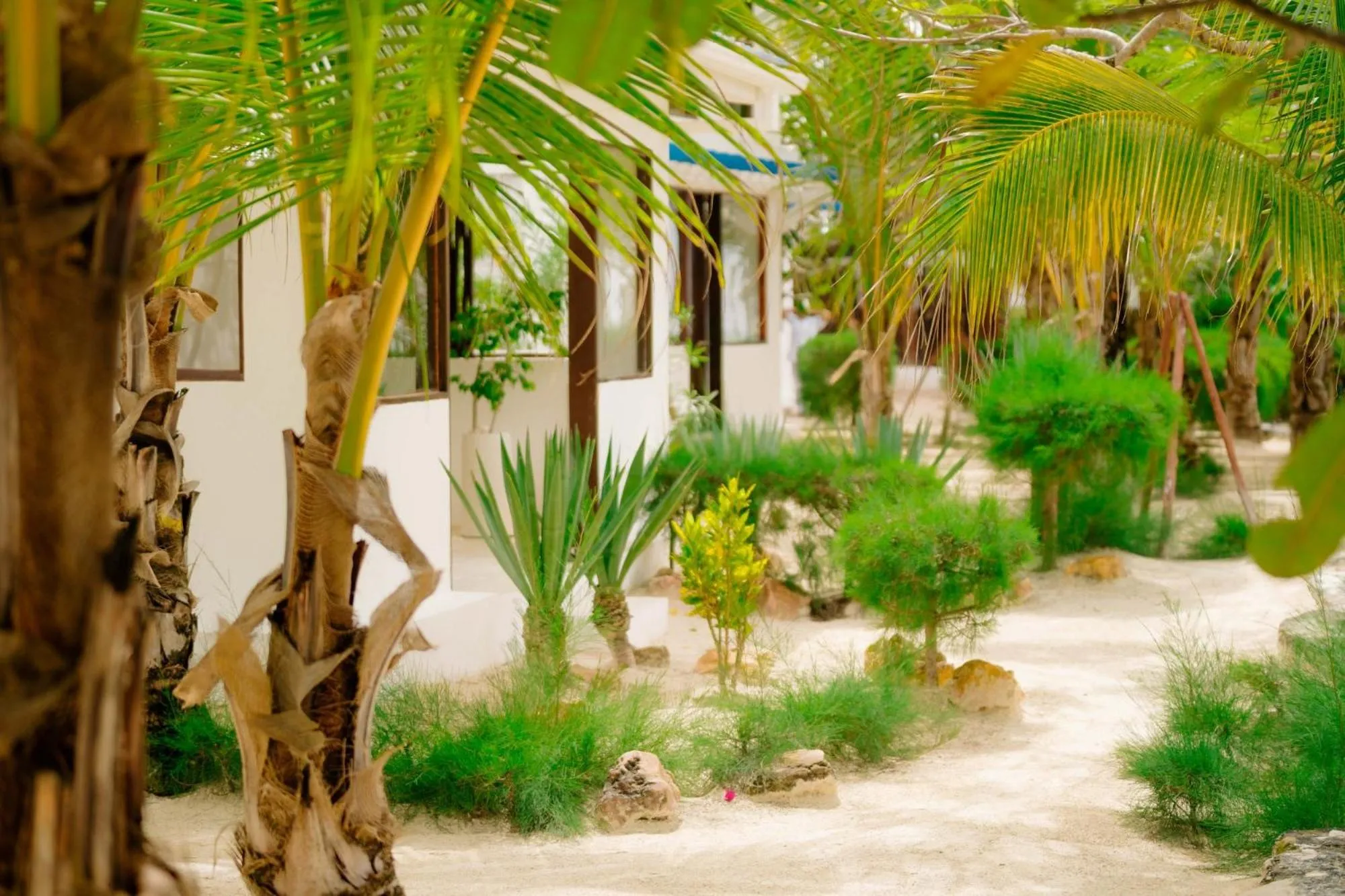 Indigo Beach Zanzibar