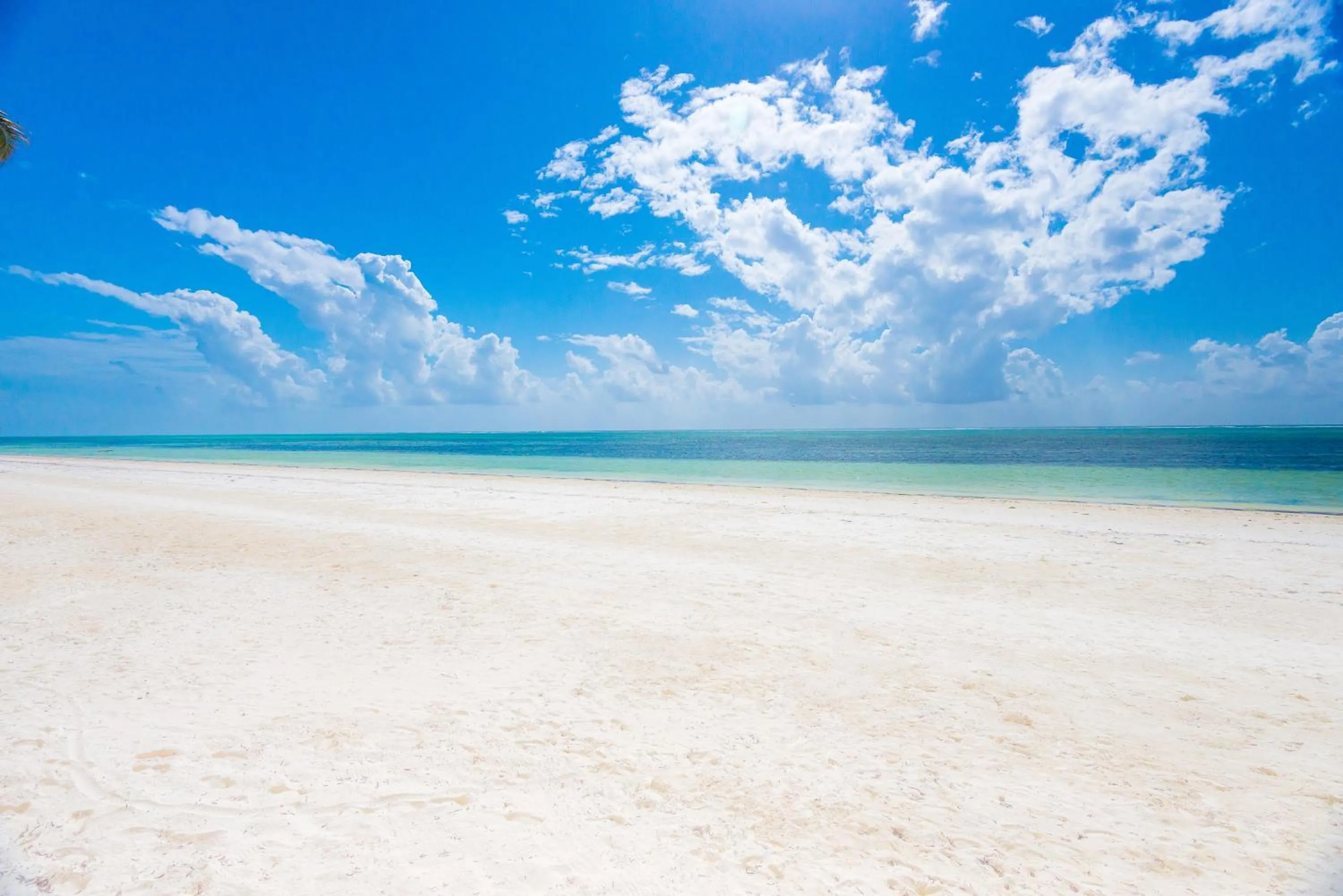 Day in Indigo Beach Zanzibar