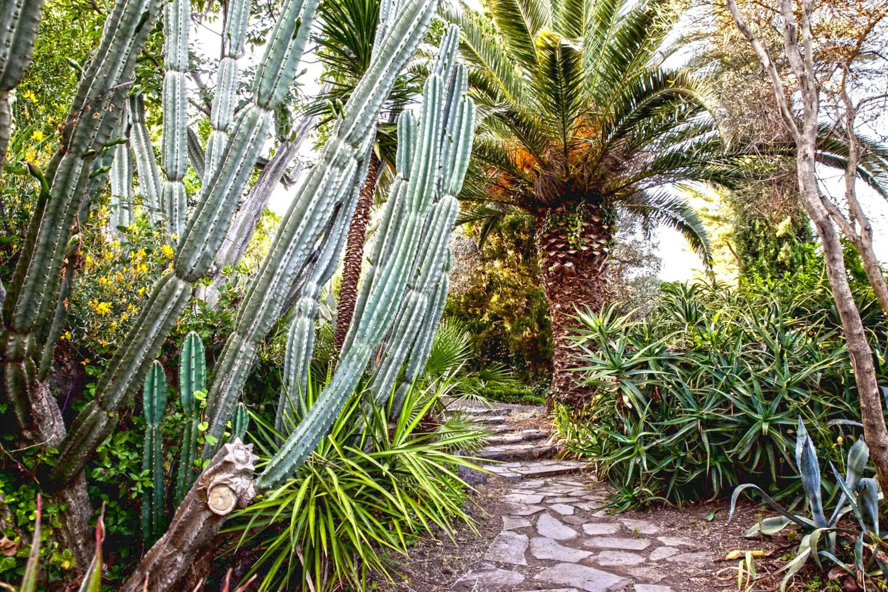 Property building in Etna Botanic Garden Property building in Etna Botanic Garden
