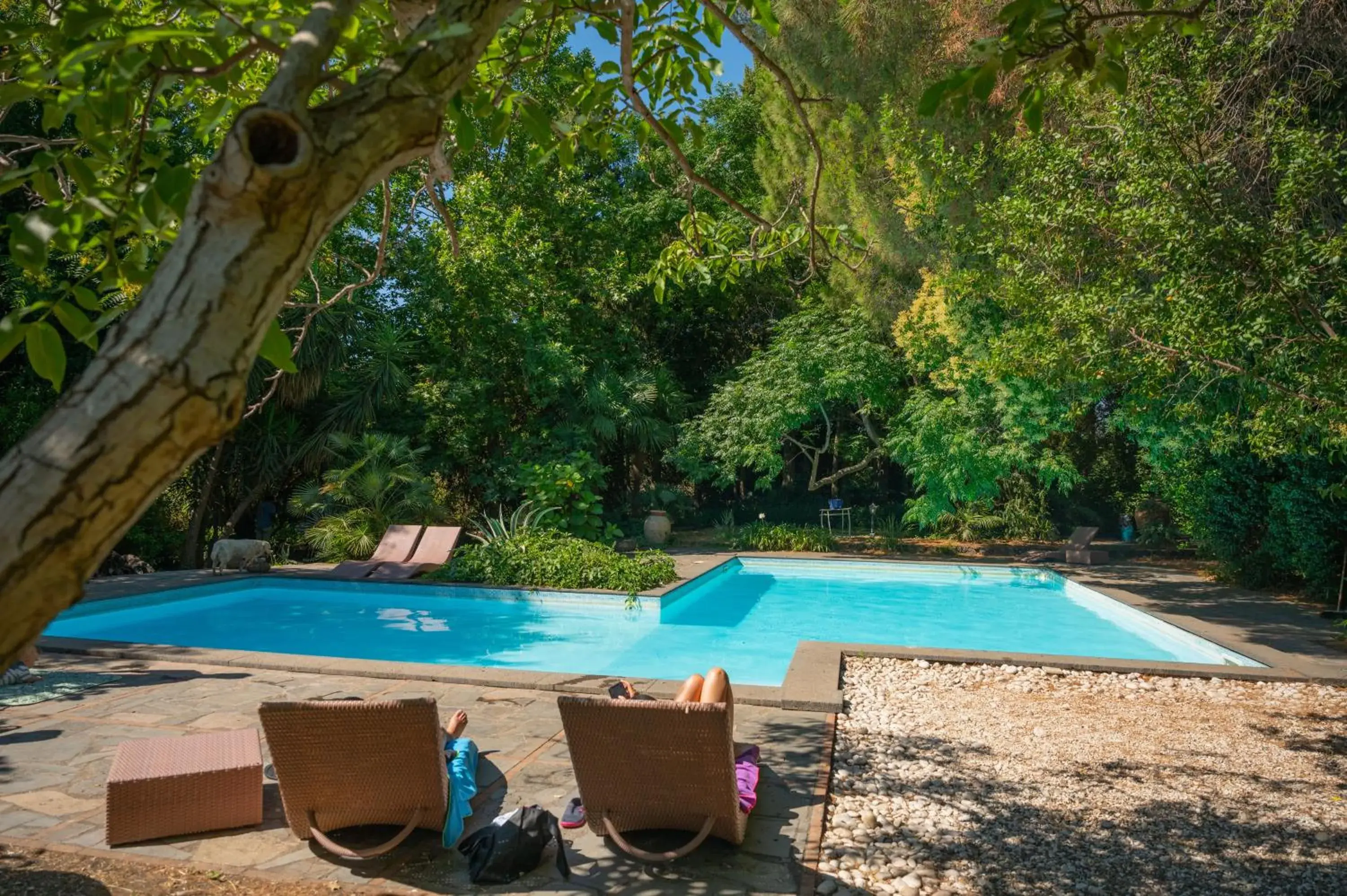 Swimming pool in Etna Botanic Garden Swimming pool in Etna Botanic Garden