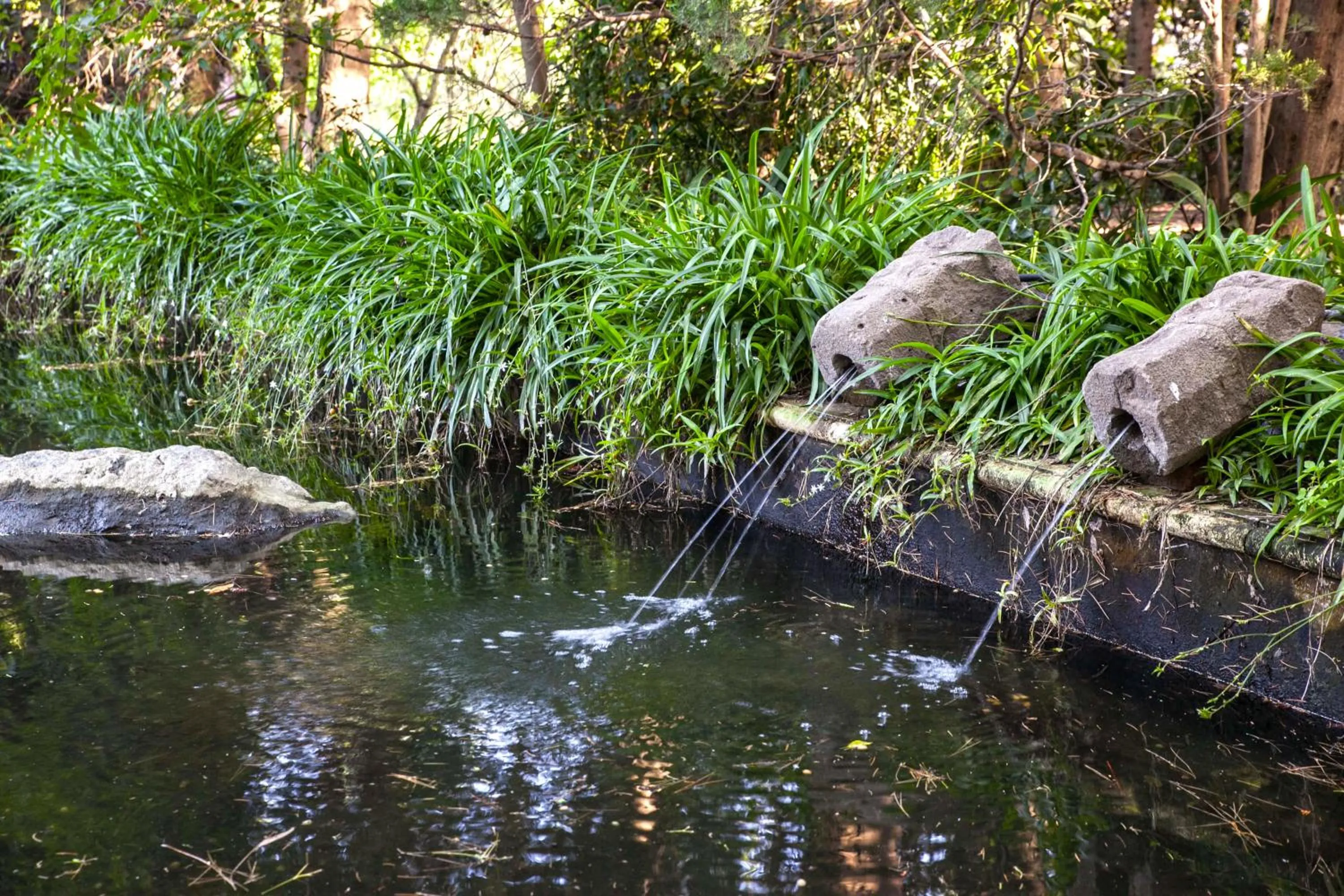 Aqua park in Etna Botanic Garden
