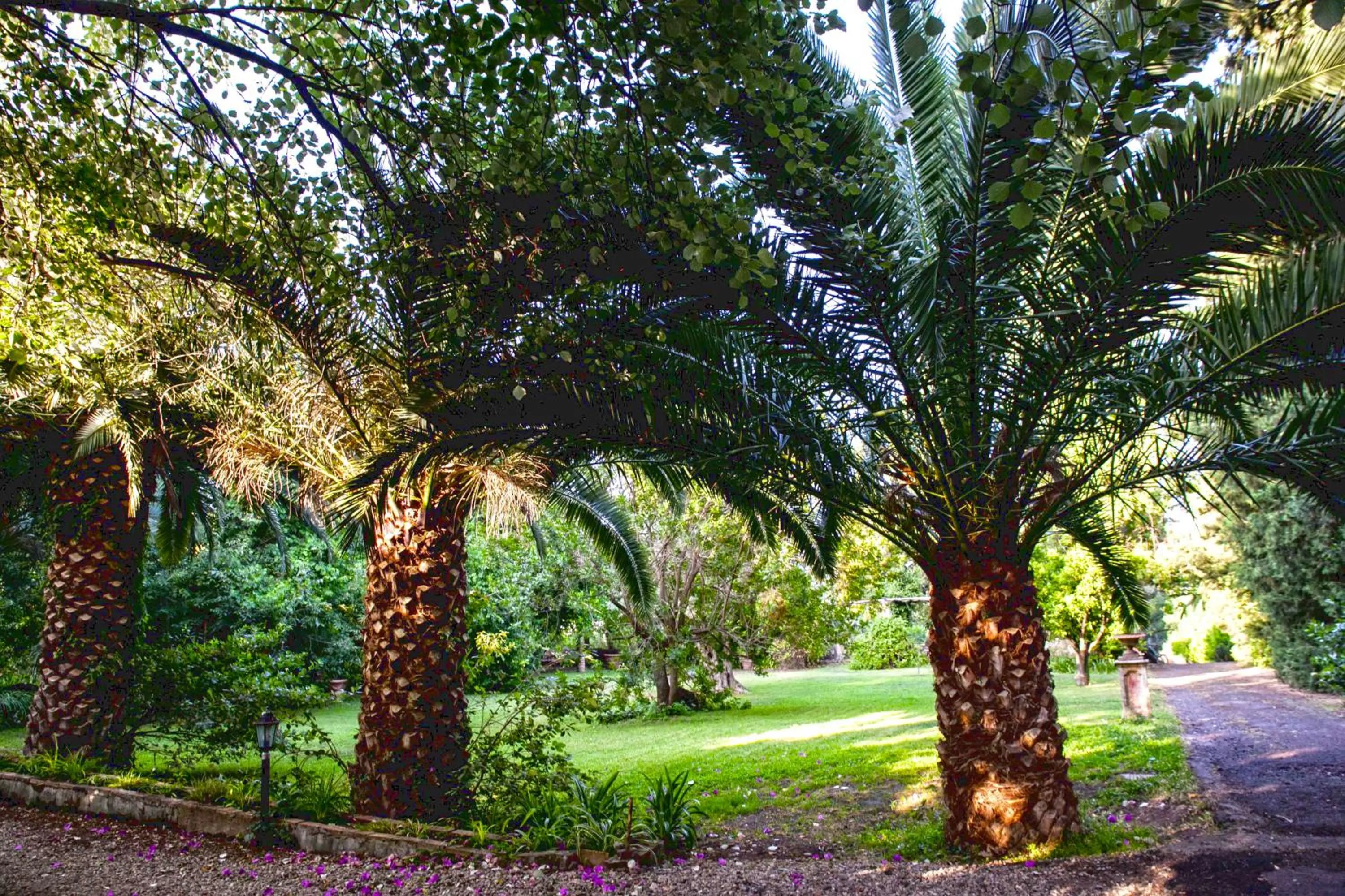 Garden in Etna Botanic Garden