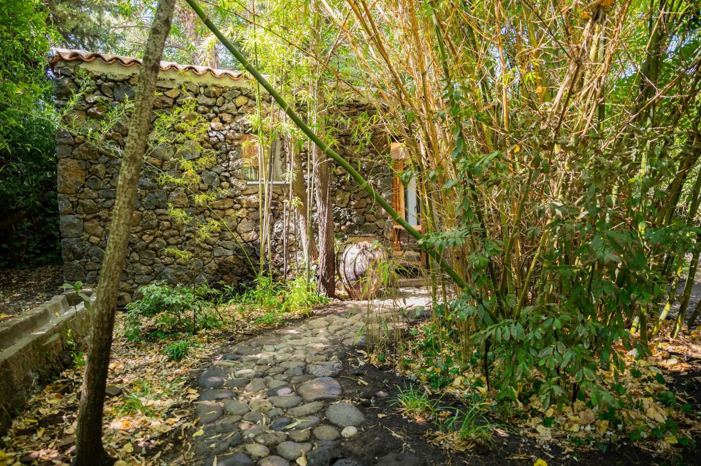 Garden in Etna Botanic Garden