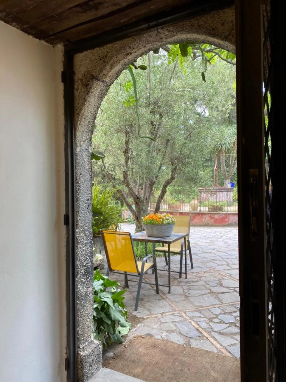 Patio in Etna Botanic Garden