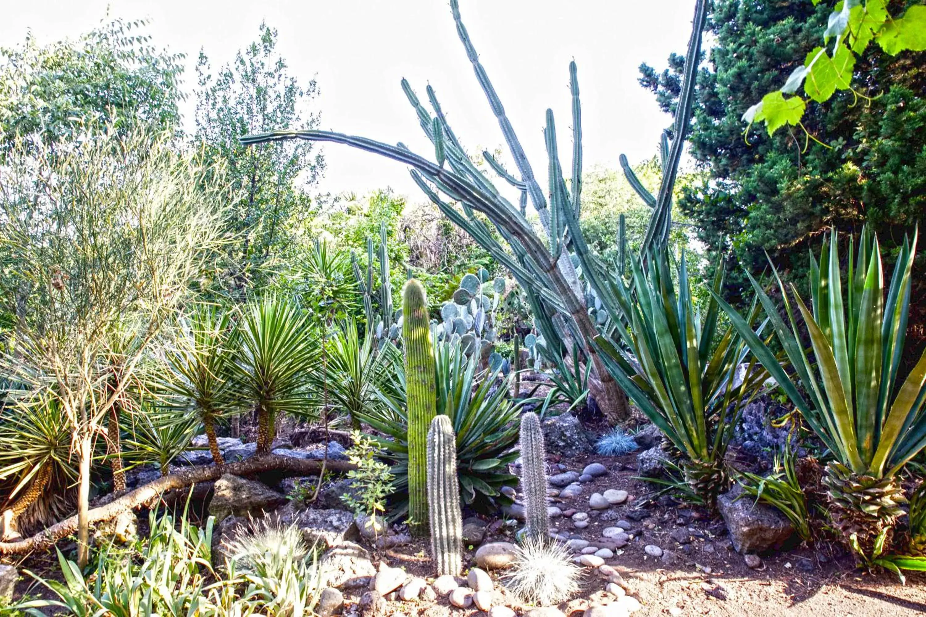 Property building in Etna Botanic Garden Property building in Etna Botanic Garden