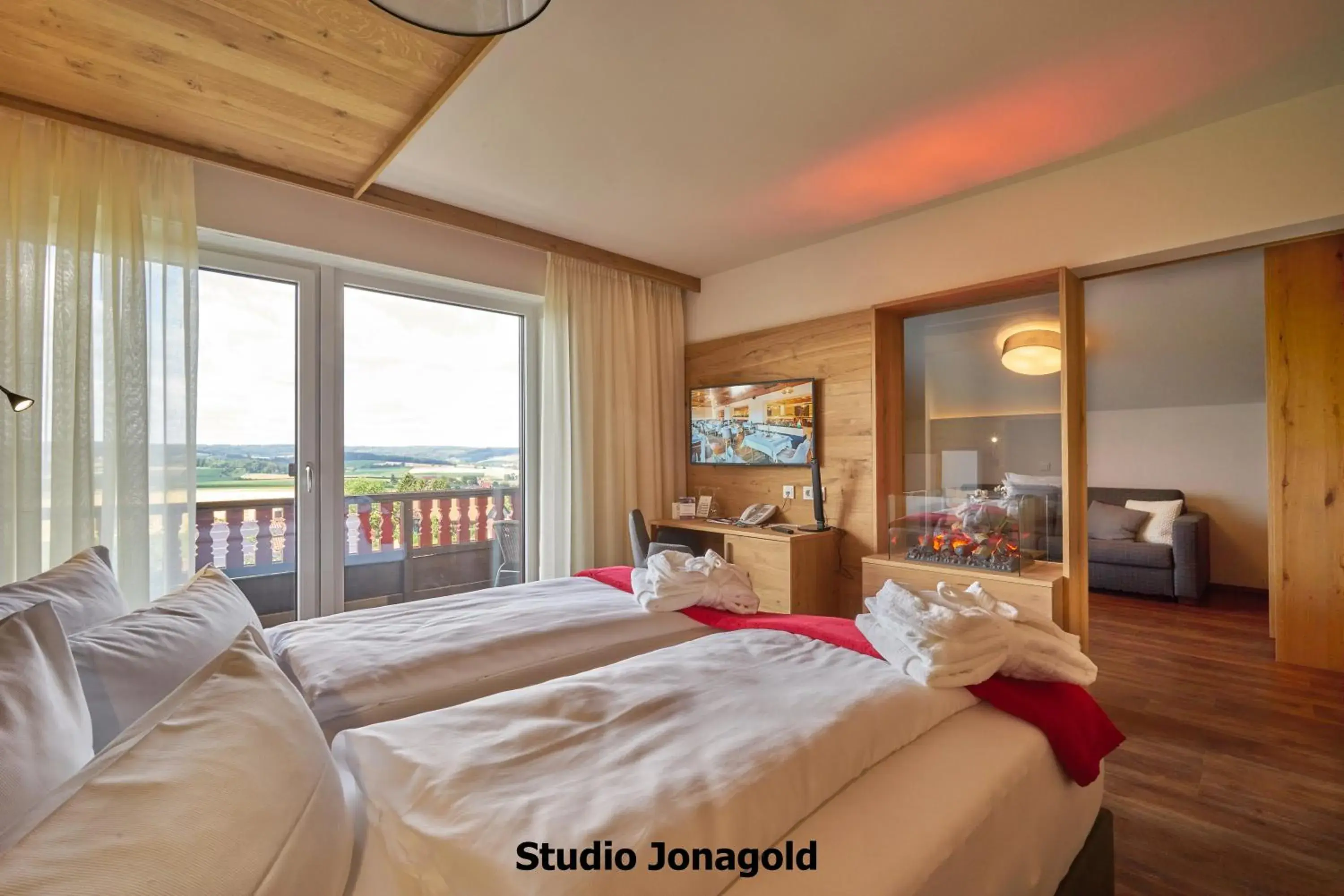 Studio with Mountain View - single occupancy in Wellnesshotel Zum Koch Studio with Mountain View - single occupancy in Wellnesshotel Zum Koch