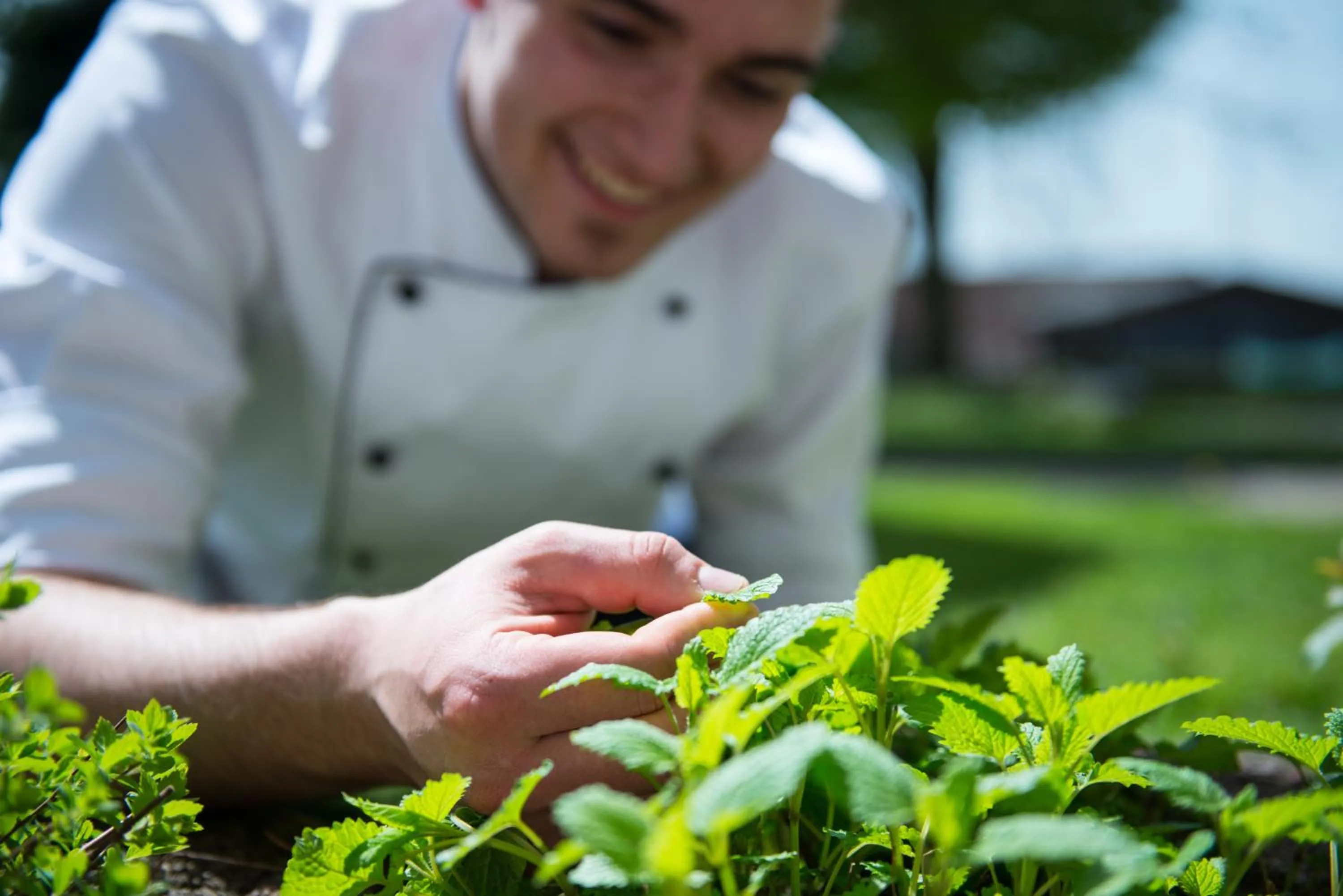 Garden in Wellnesshotel Zum Koch