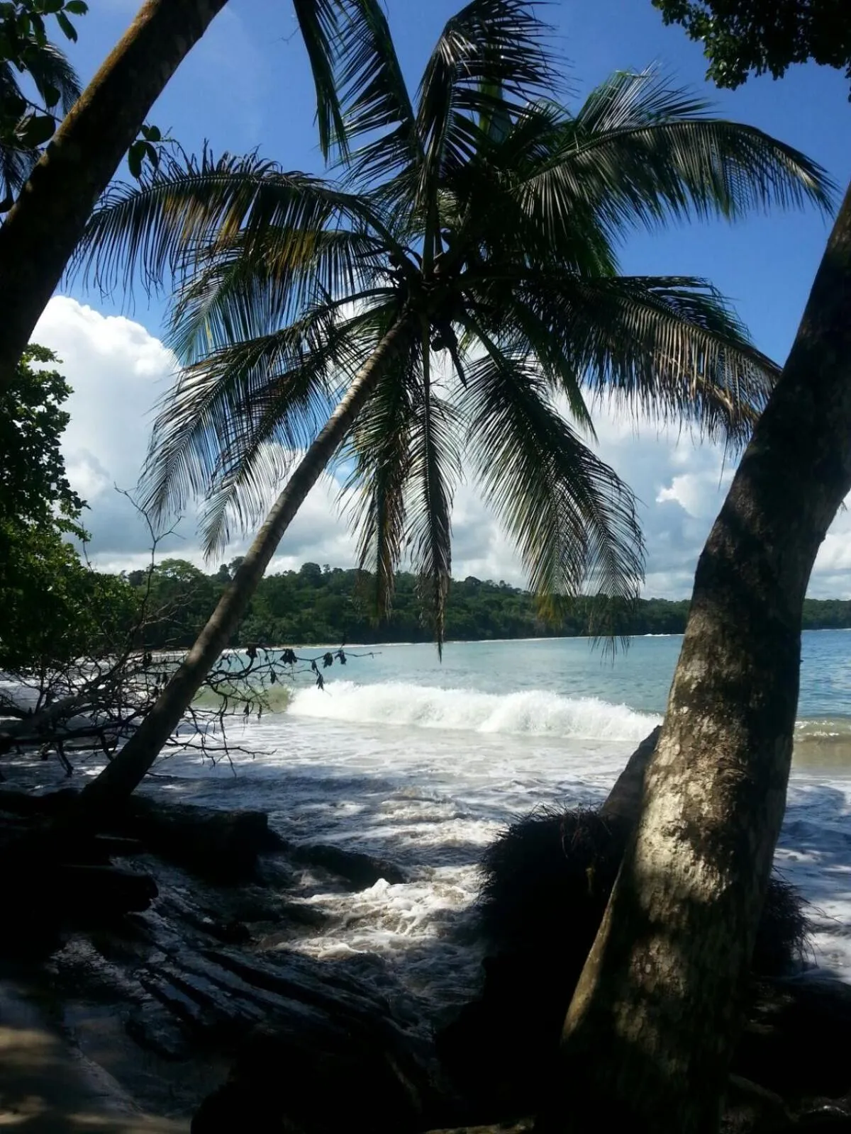 Day in Mar Verde Lodge