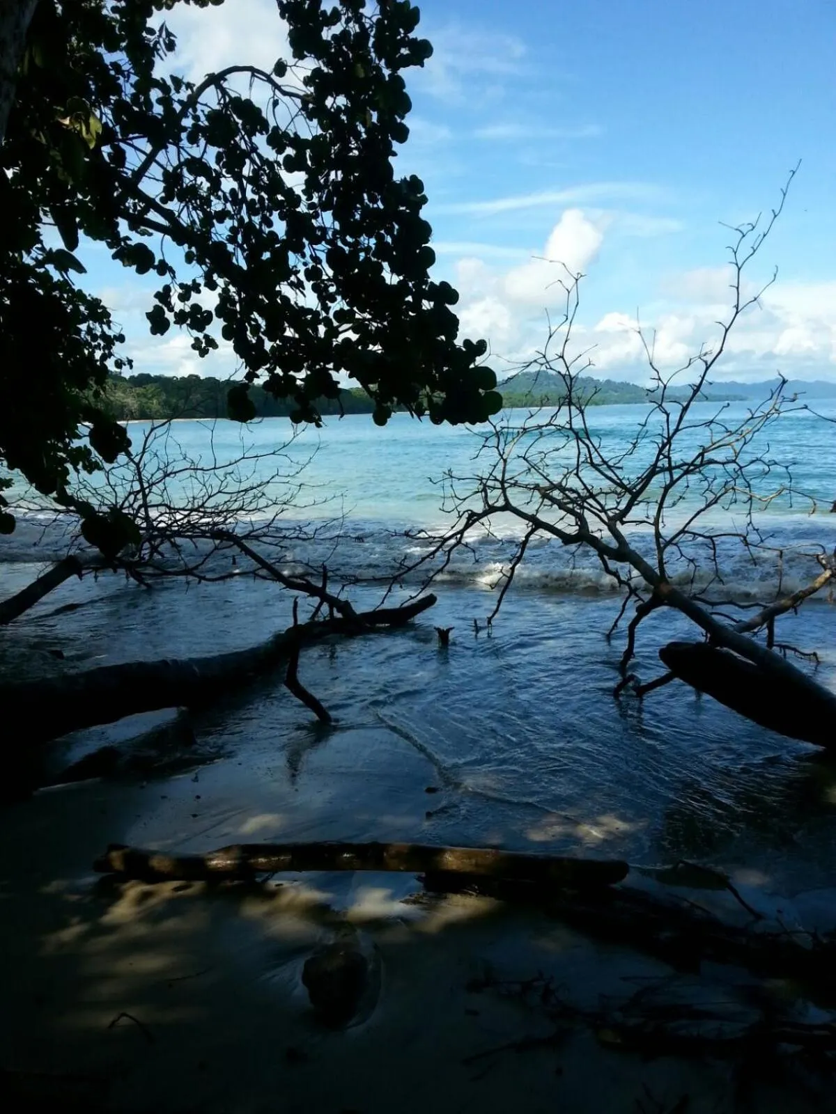 Natural landscape in Mar Verde Lodge