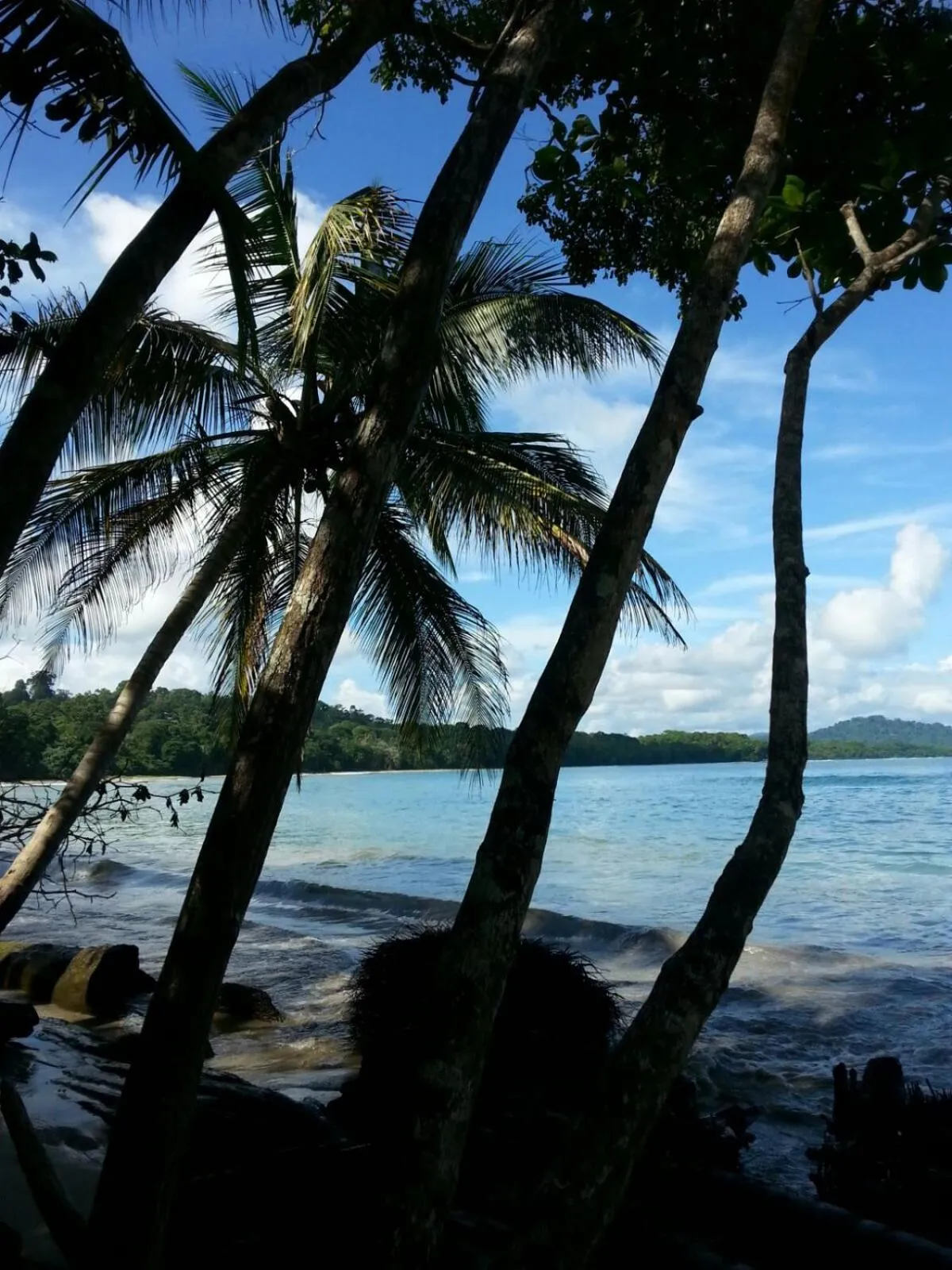 Natural landscape in Mar Verde Lodge