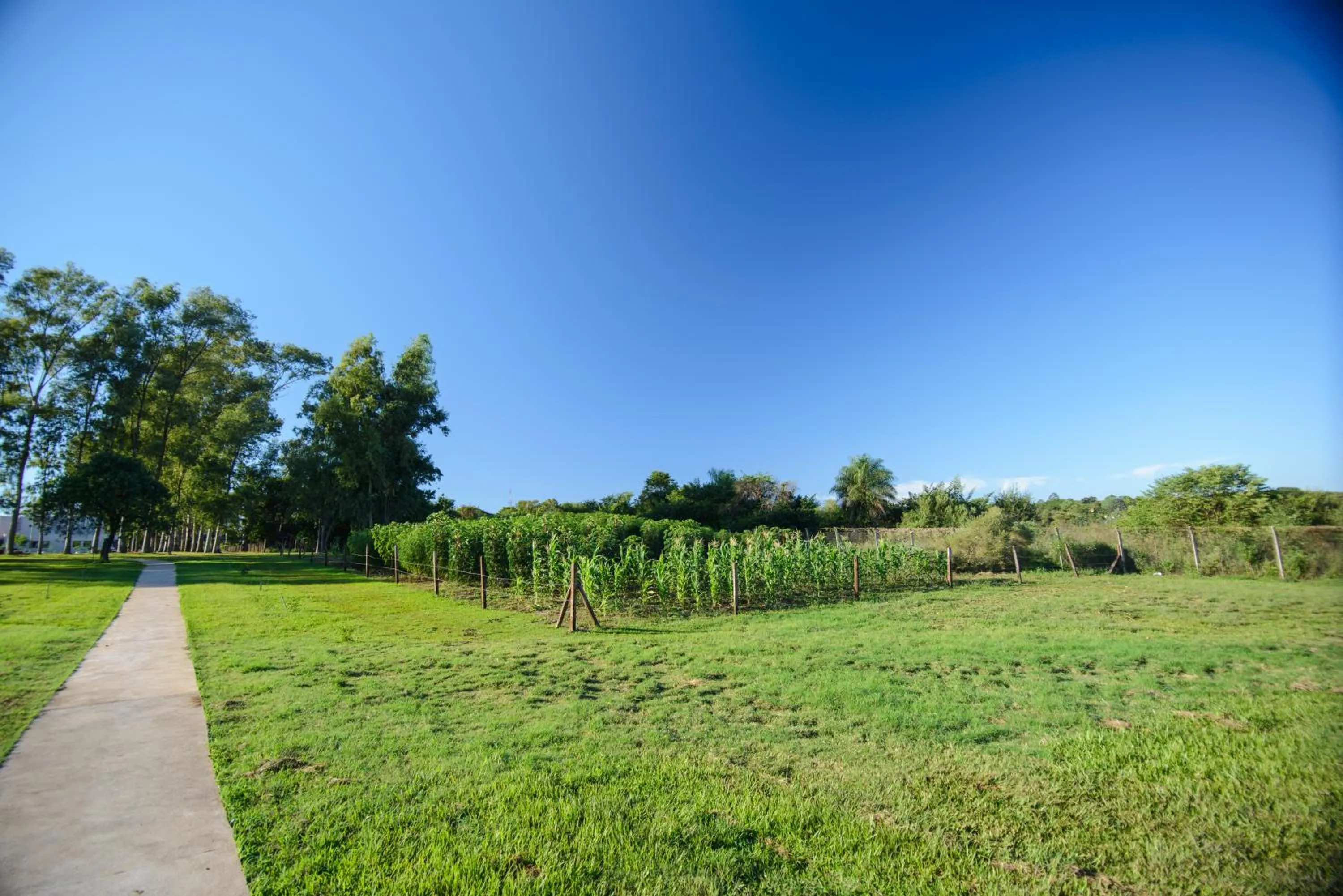 Natural landscape in Awa Resort Hotel