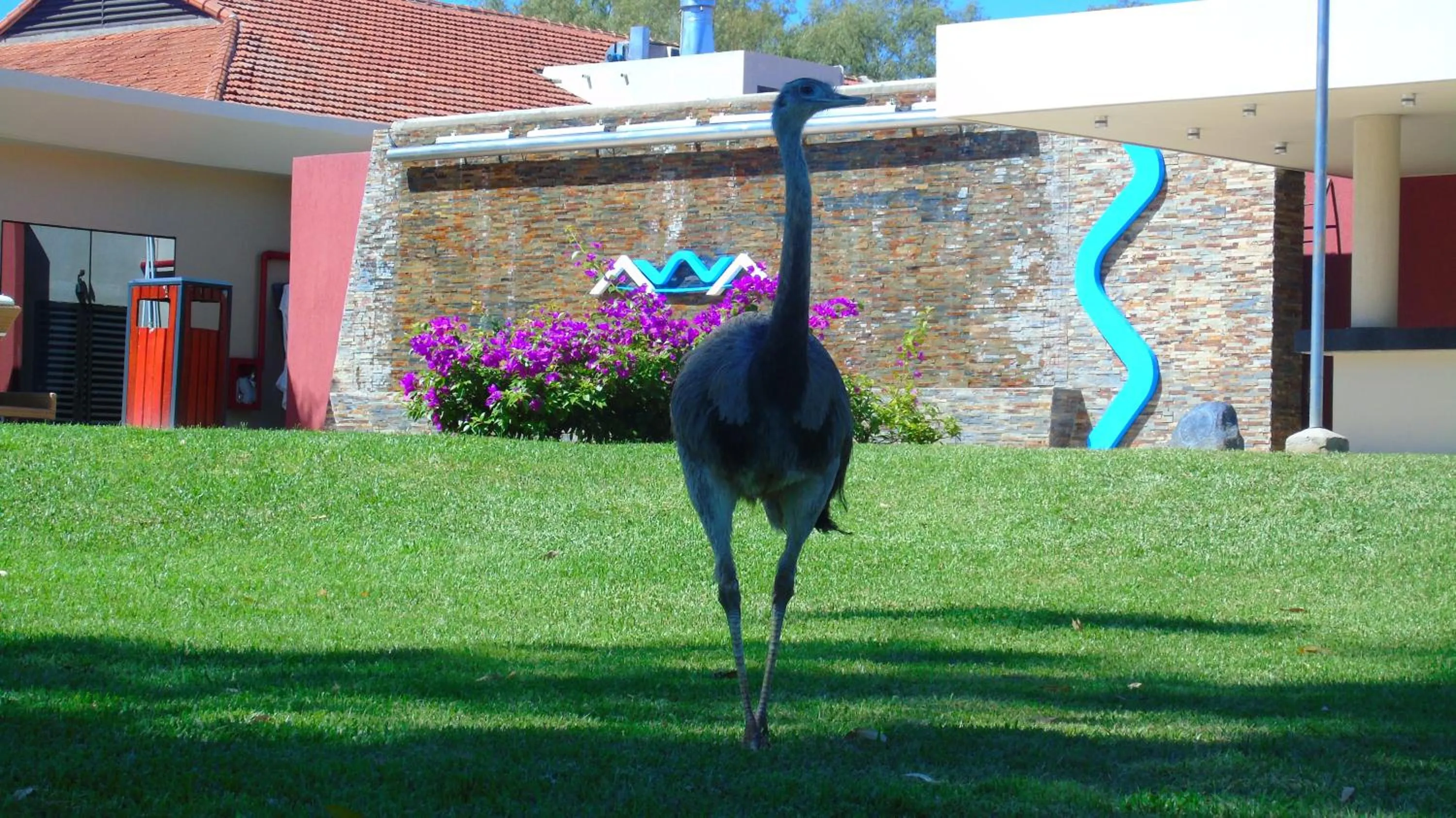 View (from property/room) in Awa Resort Hotel