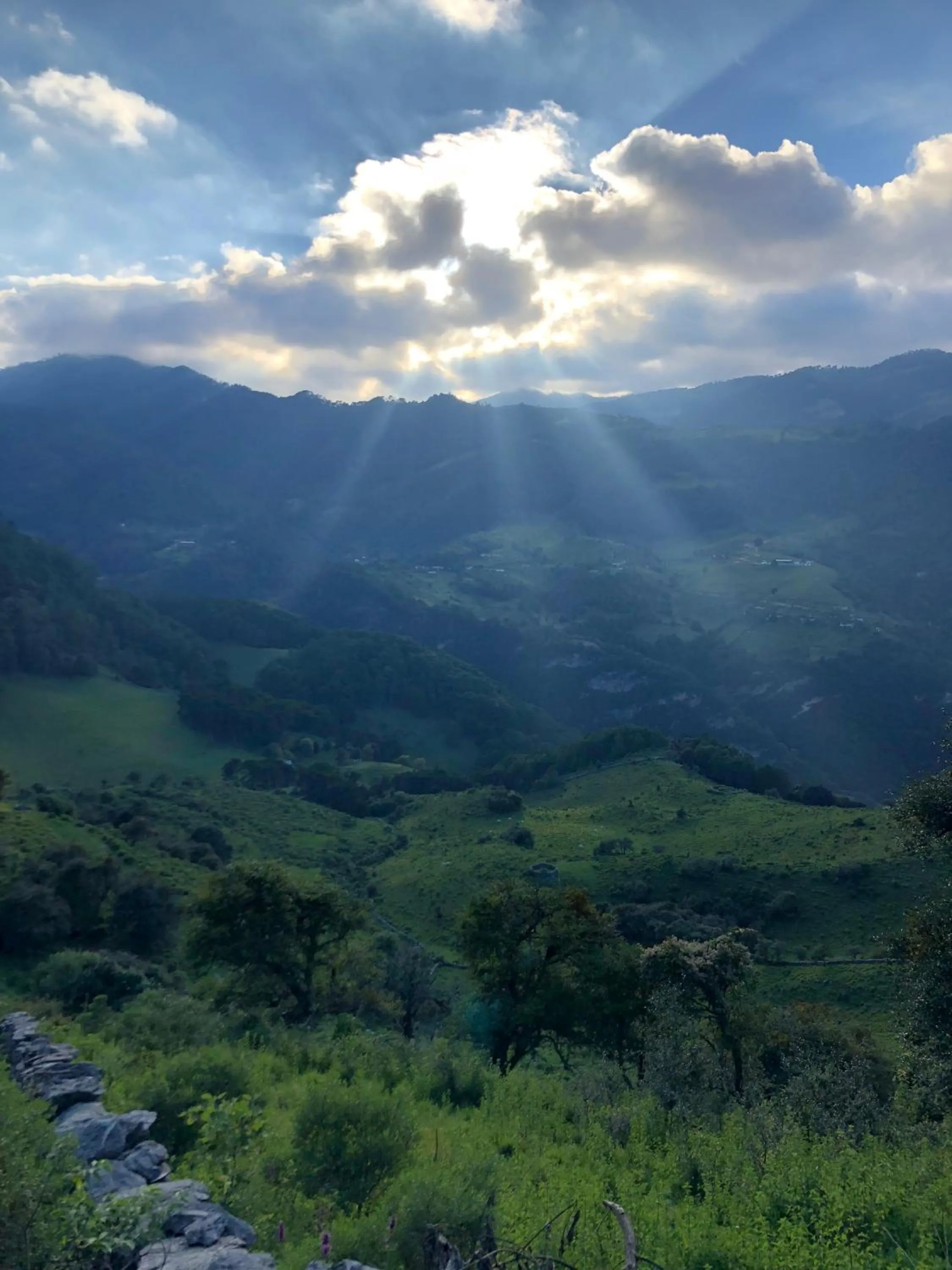 Natural landscape in Cabañas 5 Pinos