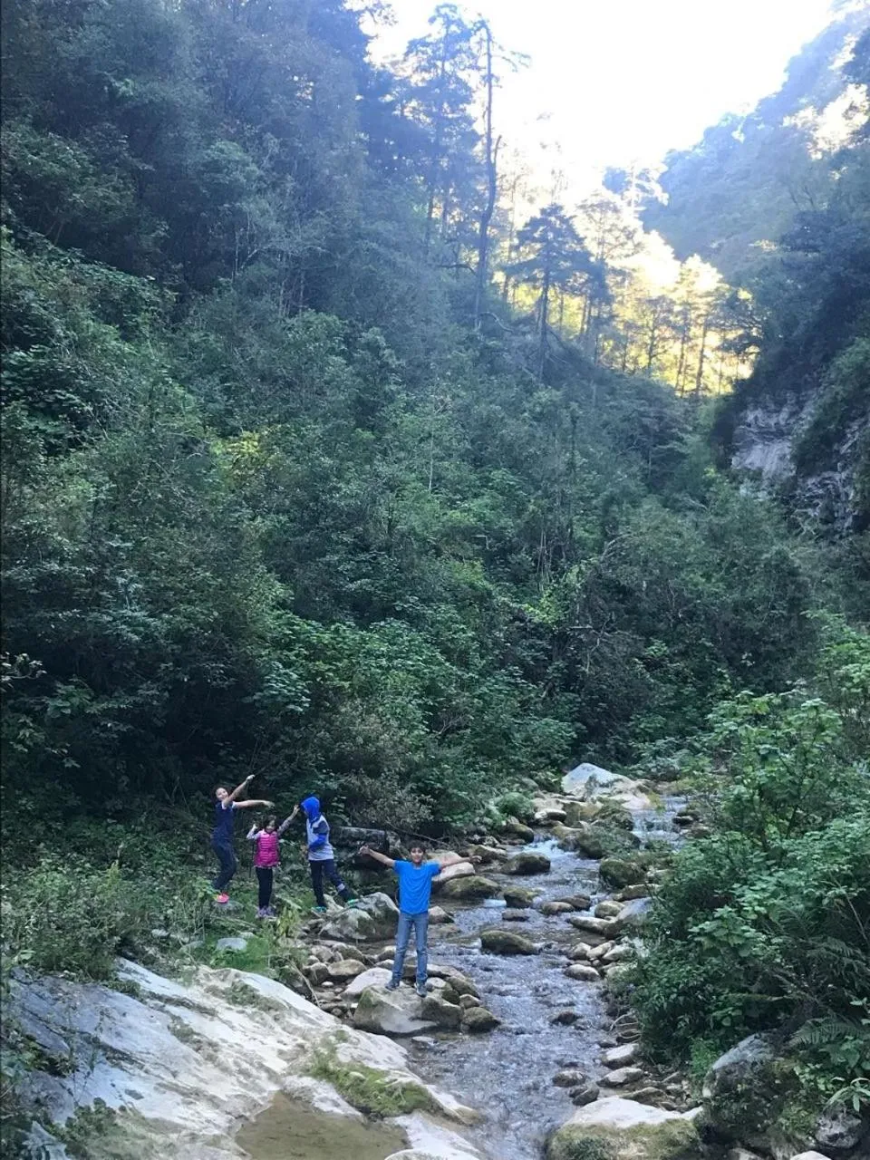 Natural landscape in Cabañas 5 Pinos