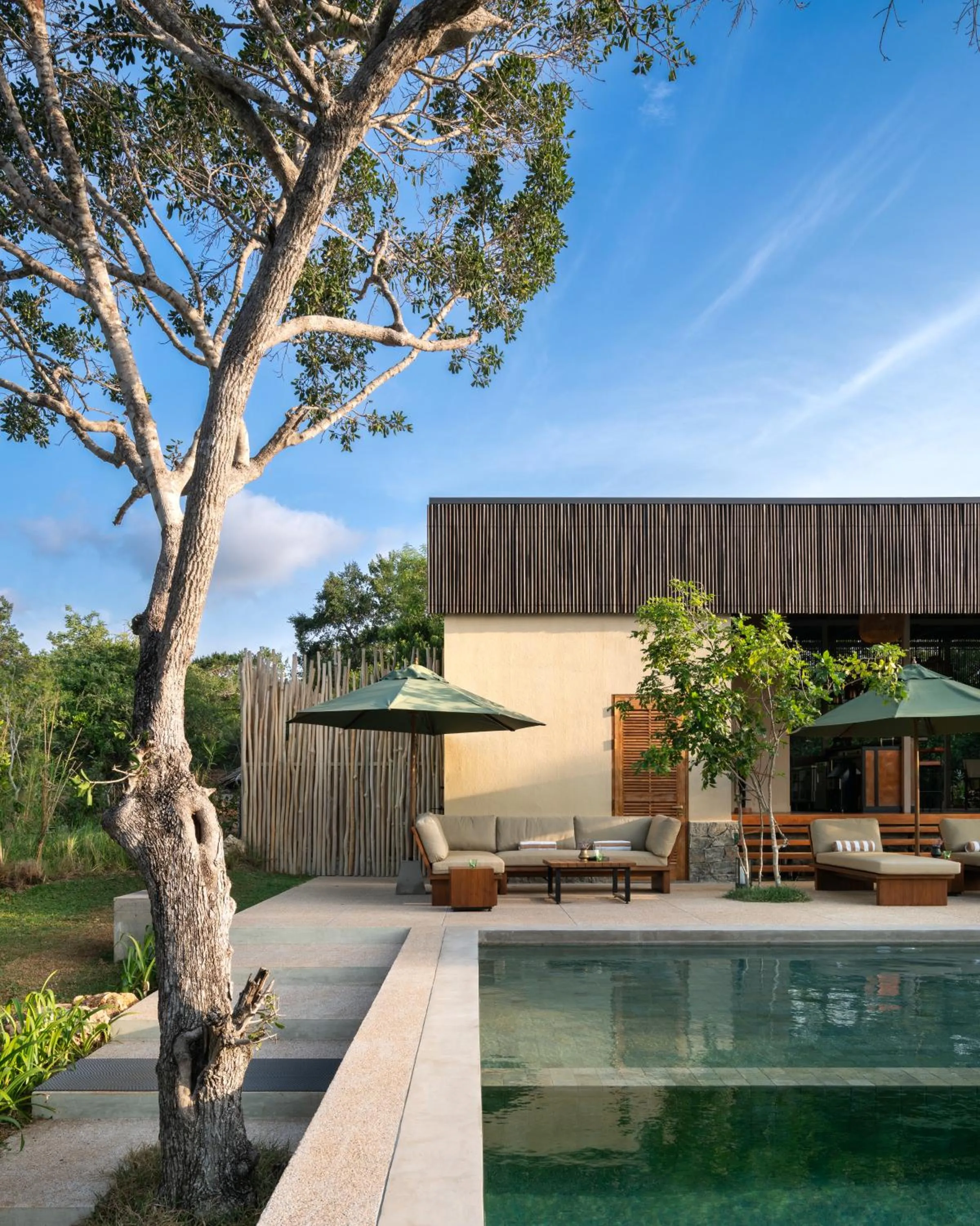 Lounge or bar in Taru Villas Villu - Wilpattu