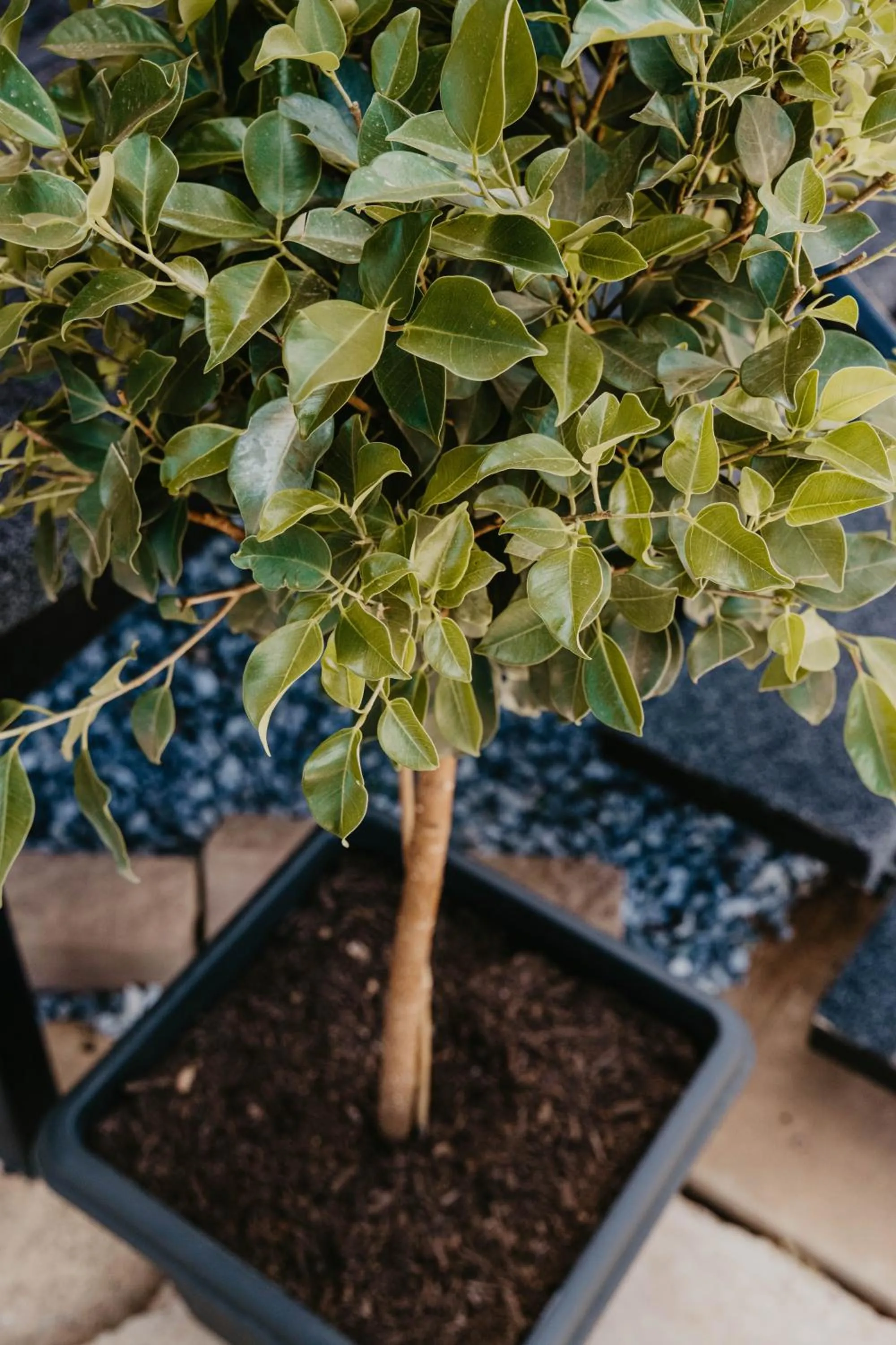 Property building in Winton Outback Motel