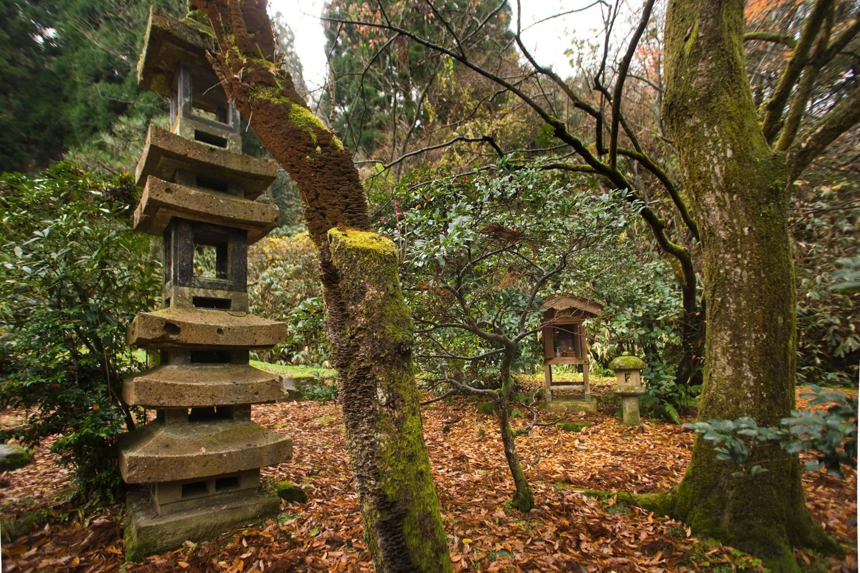Facade/entrance in Motoyu Ishiya