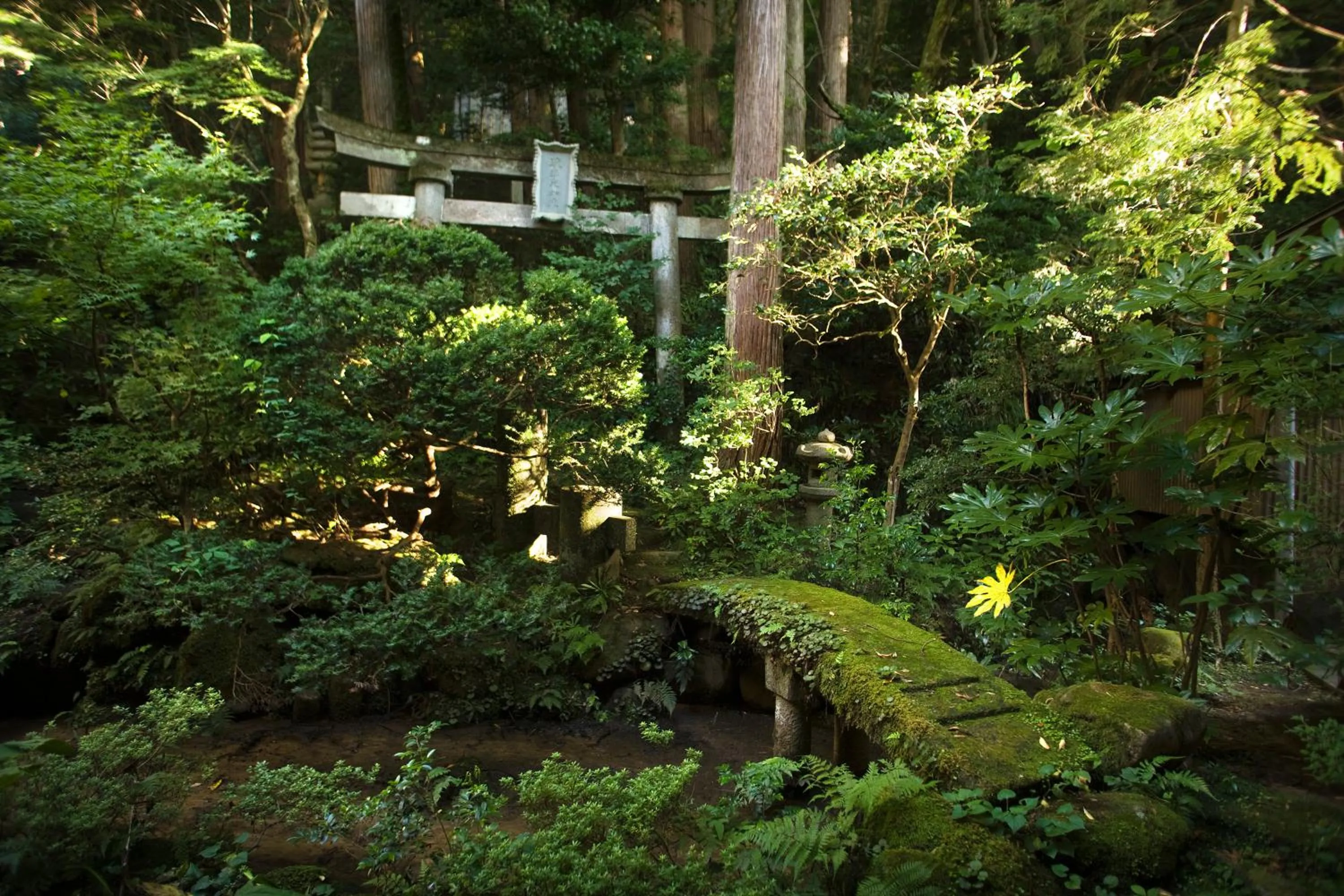 Garden in Motoyu Ishiya