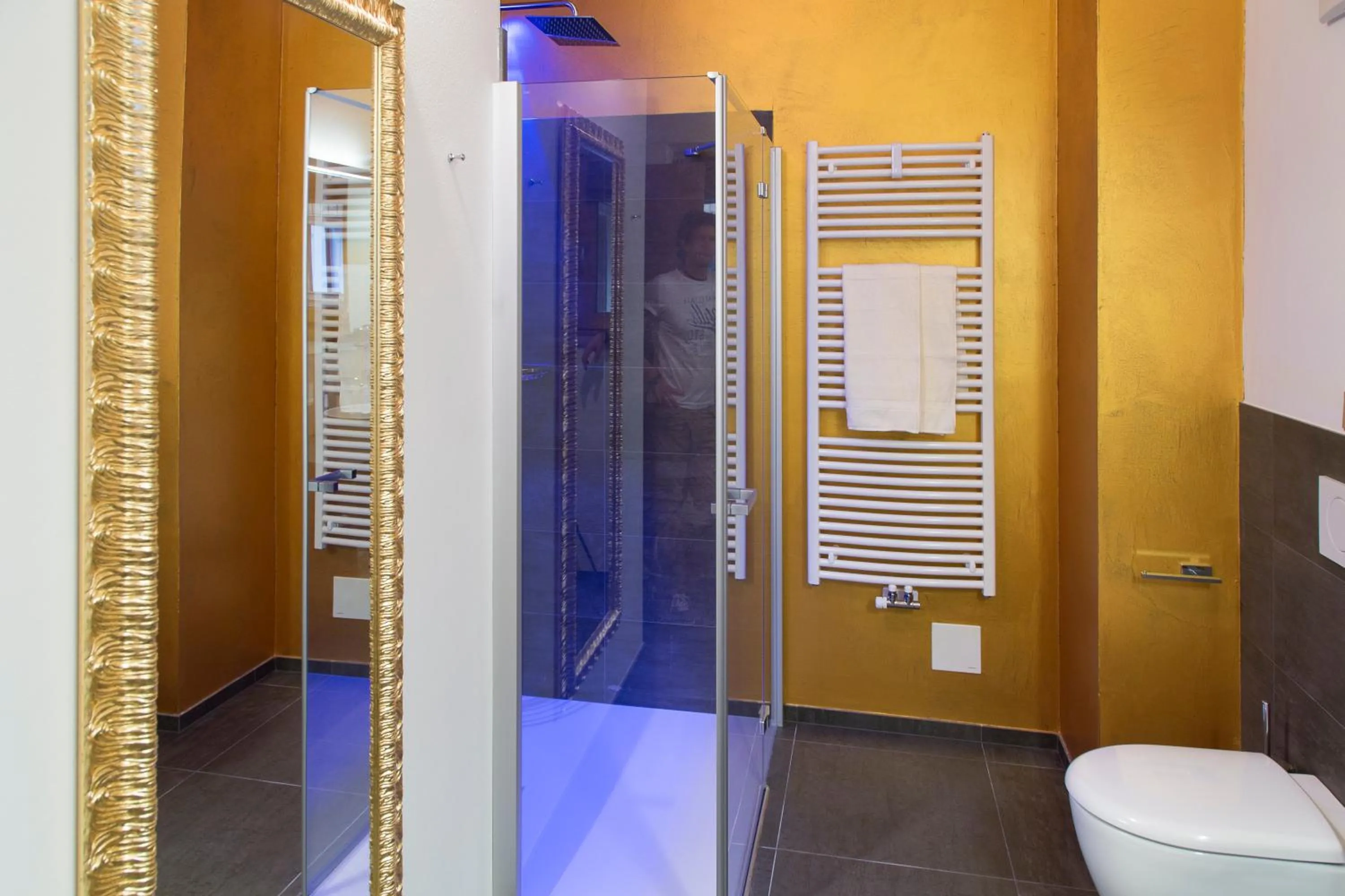 Shower in Mountainlodge Luxalpine