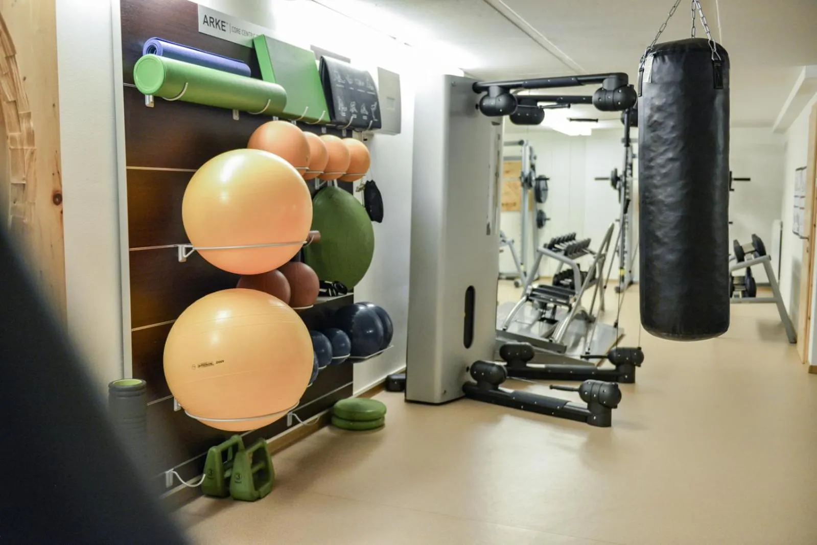 Fitness centre/facilities in Mountainlodge Luxalpine