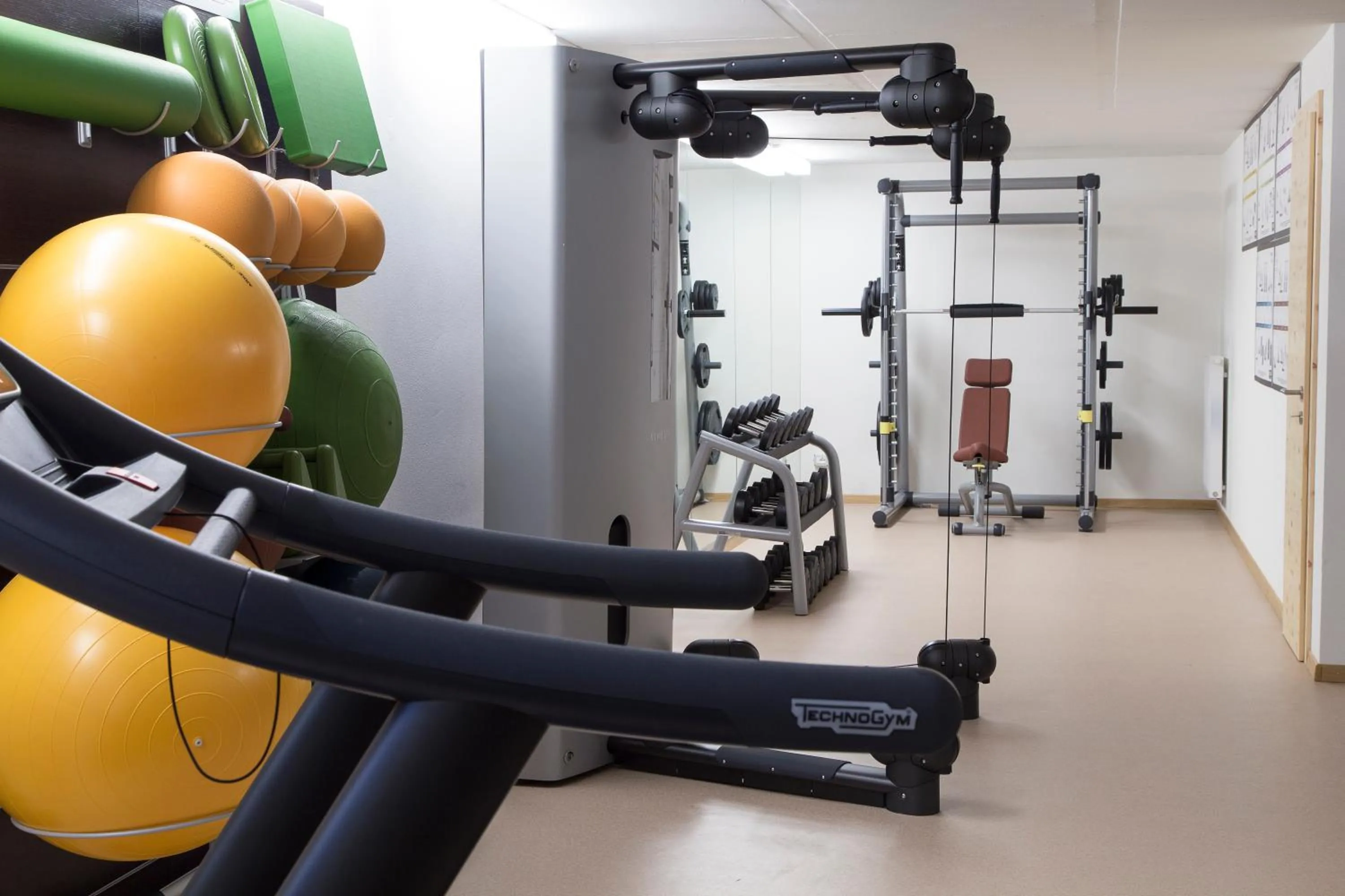 Fitness centre/facilities in Mountainlodge Luxalpine