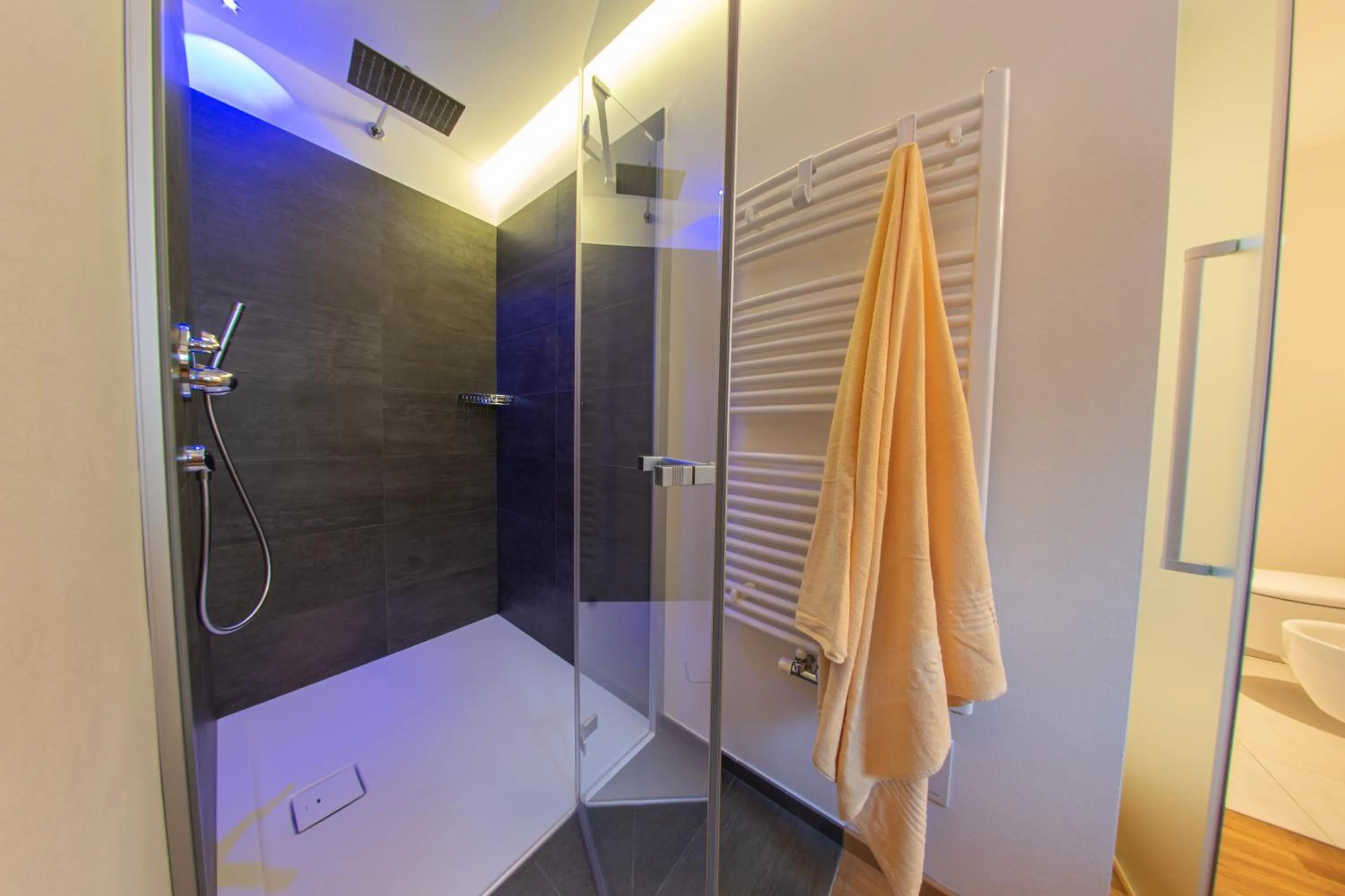Shower in Mountainlodge Luxalpine
