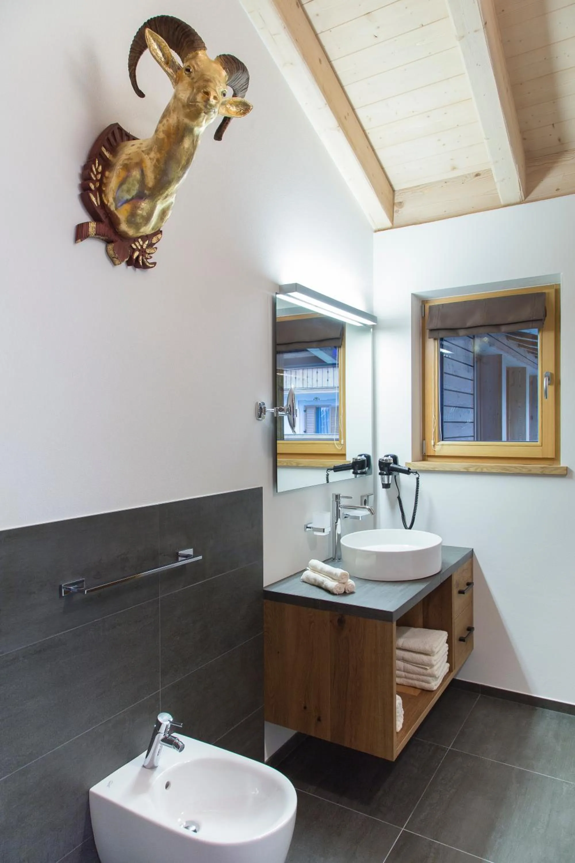 Shower in Mountainlodge Luxalpine