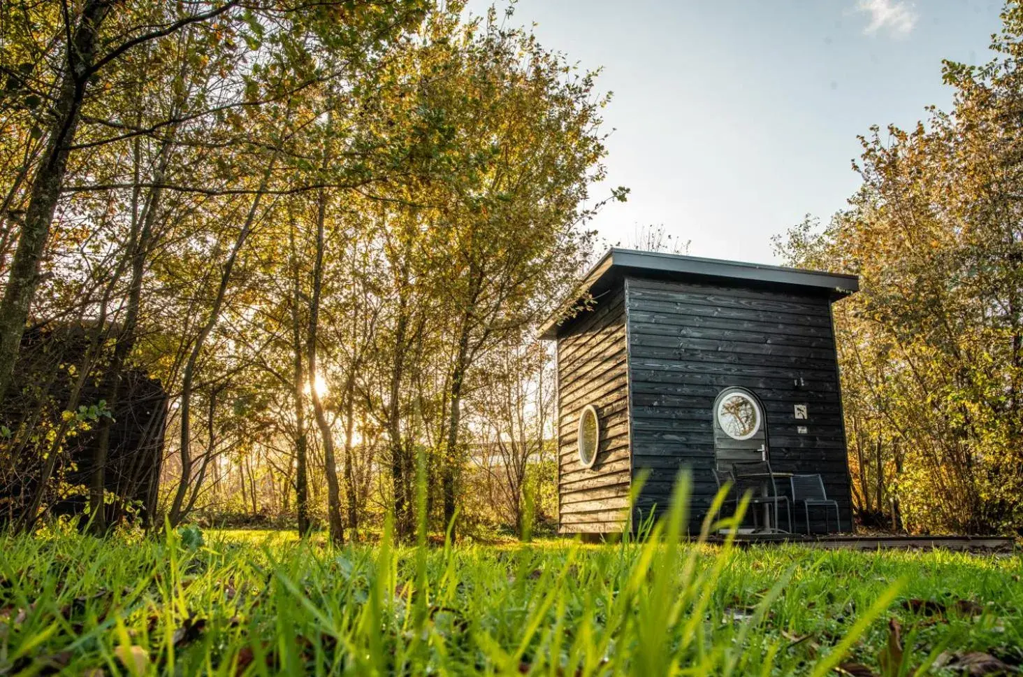 Chalet in Erfgoed Bossem Chalet in Erfgoed Bossem